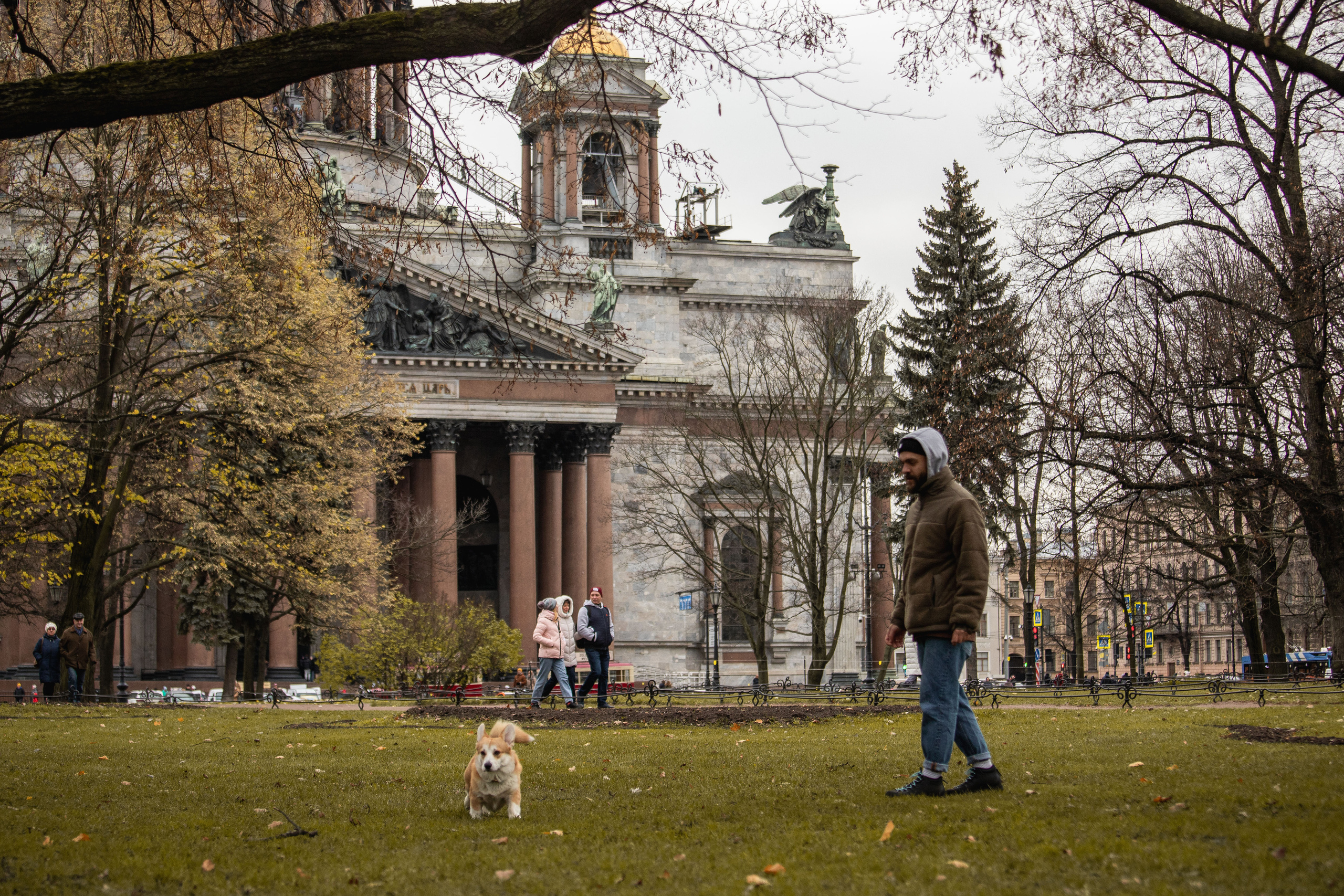 Барни и его семья. Фотограф — Анималист | Санкт-Петербург