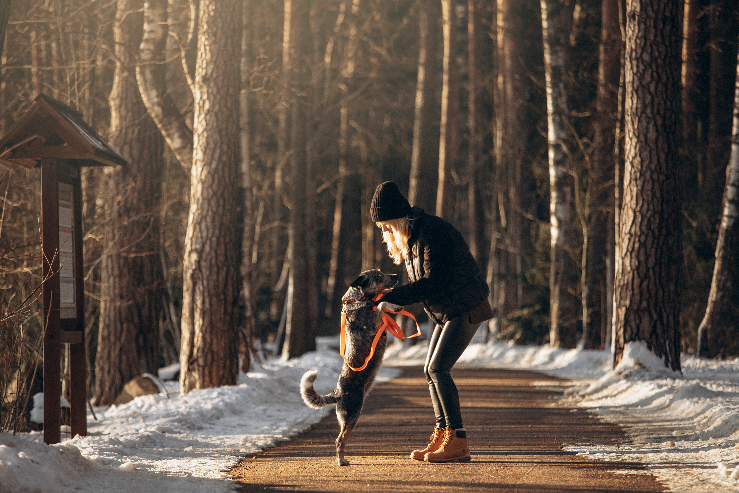 Оля и Мотя. Фотограф — Анималист | Санкт-Петербург