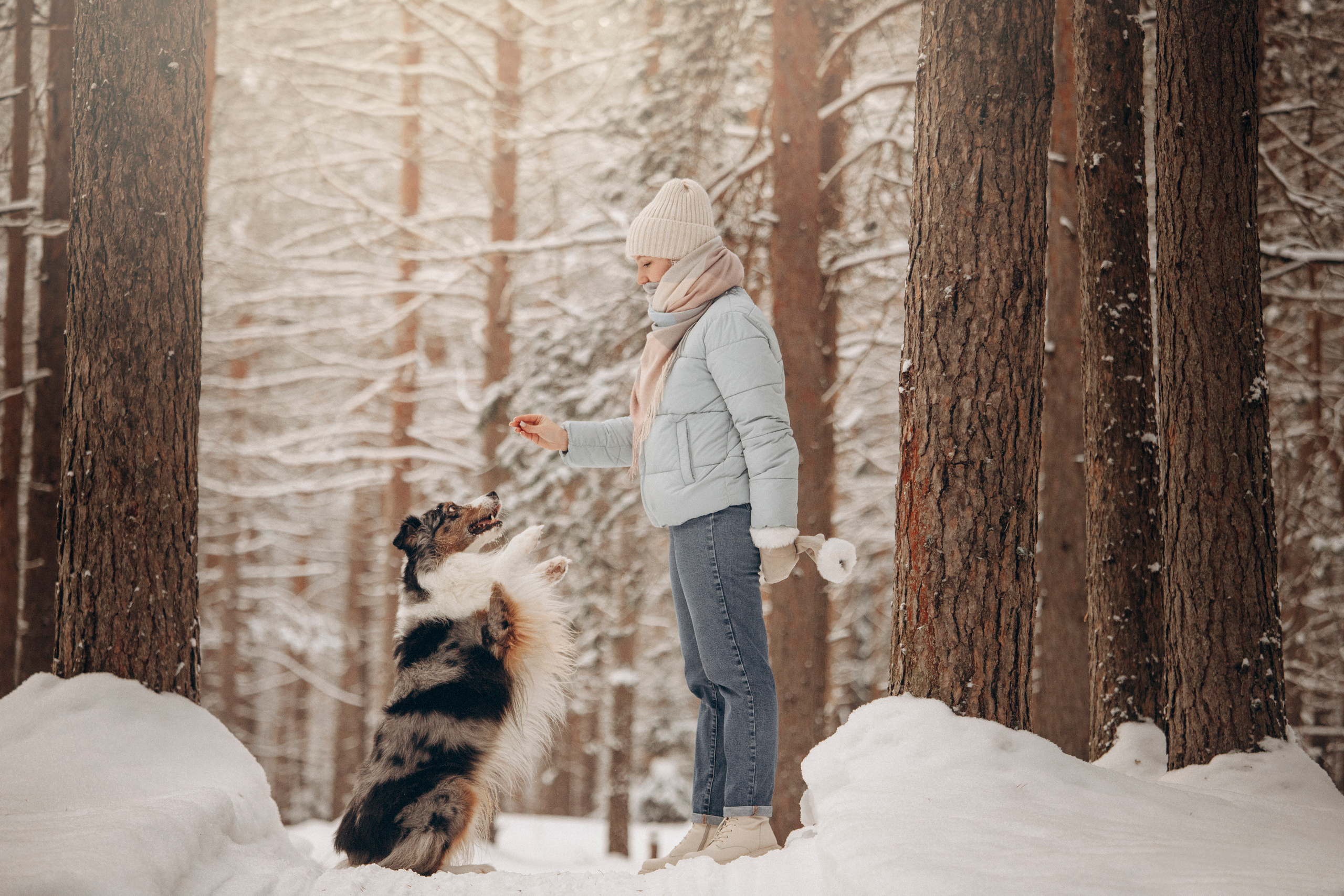 Айк и его семья. Фотограф — Анималист | Санкт-Петербург