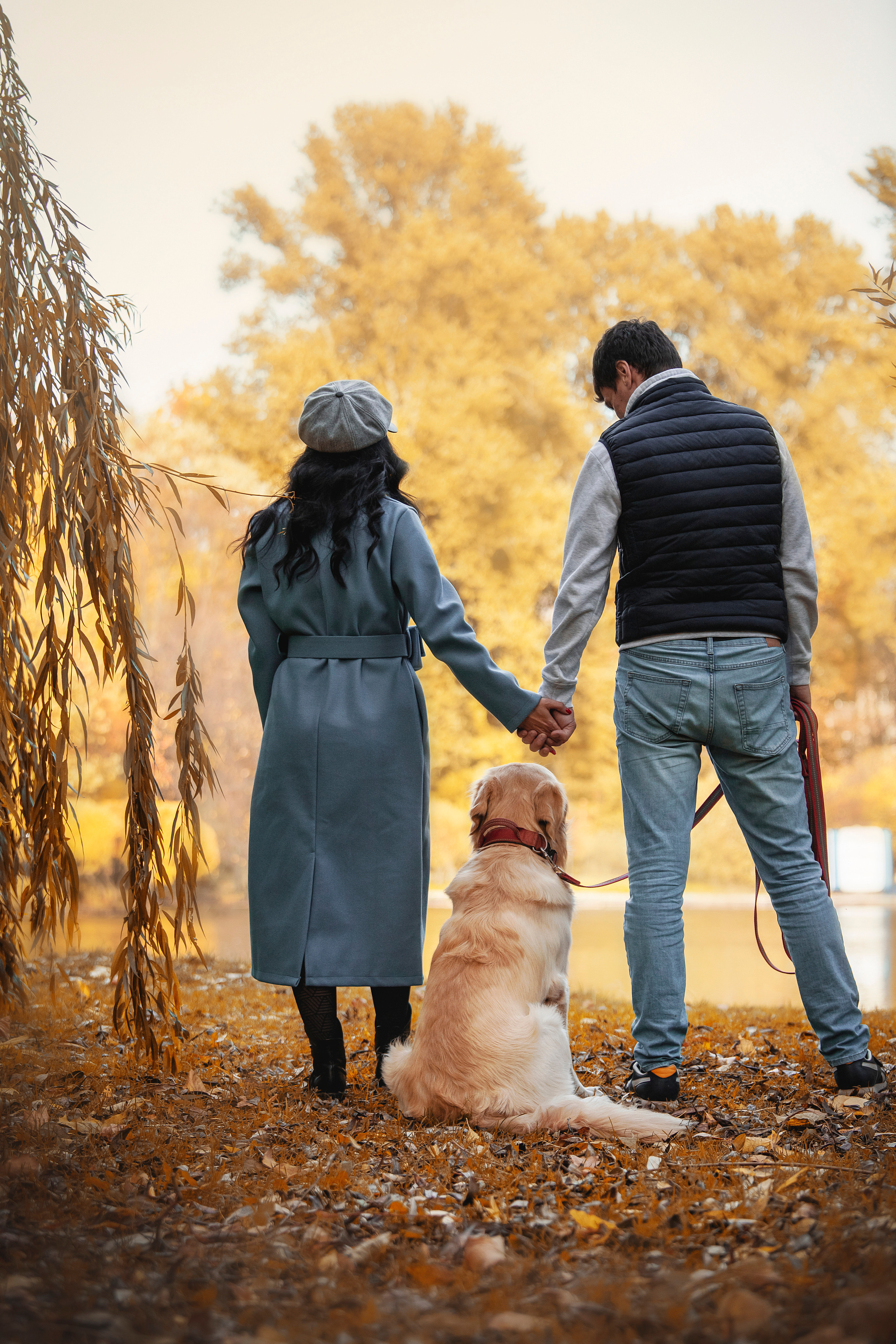 Лёвушка и его семья. Фотограф — Анималист | Санкт-Петербург