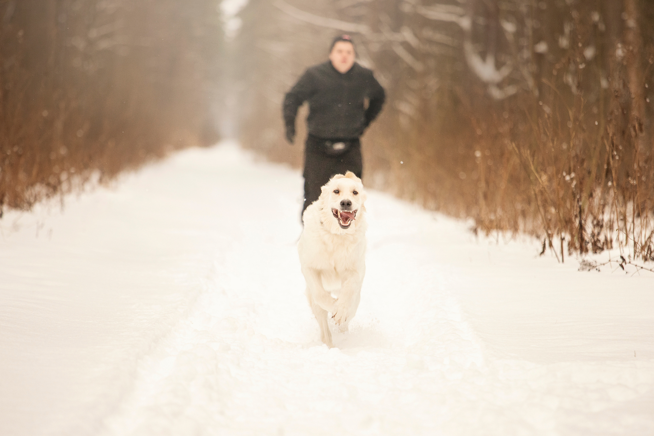 Милка и ее семья. Фотограф — Анималист | Санкт-Петербург