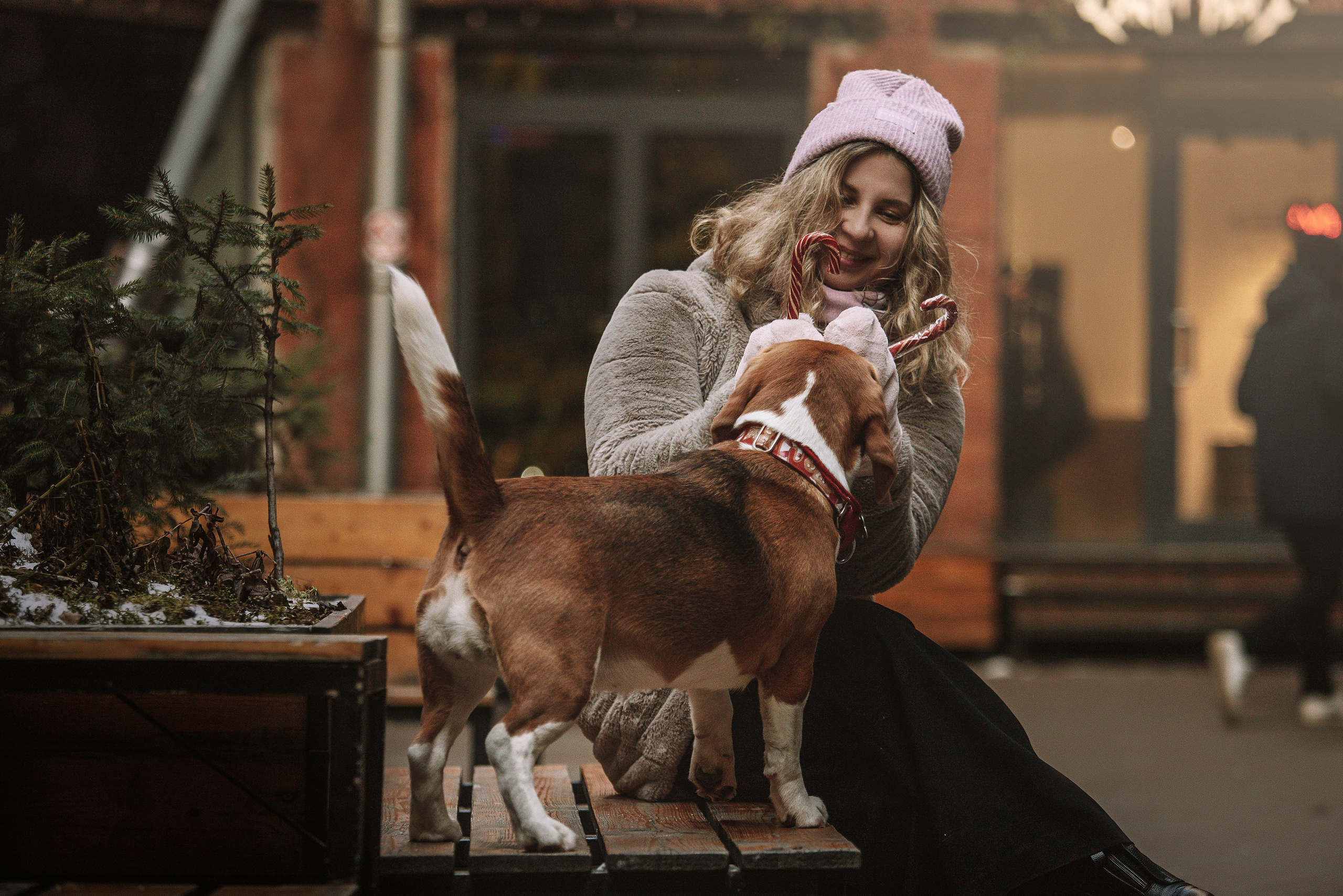 Полина и Бетти. Фотограф — Анималист | Санкт-Петербург