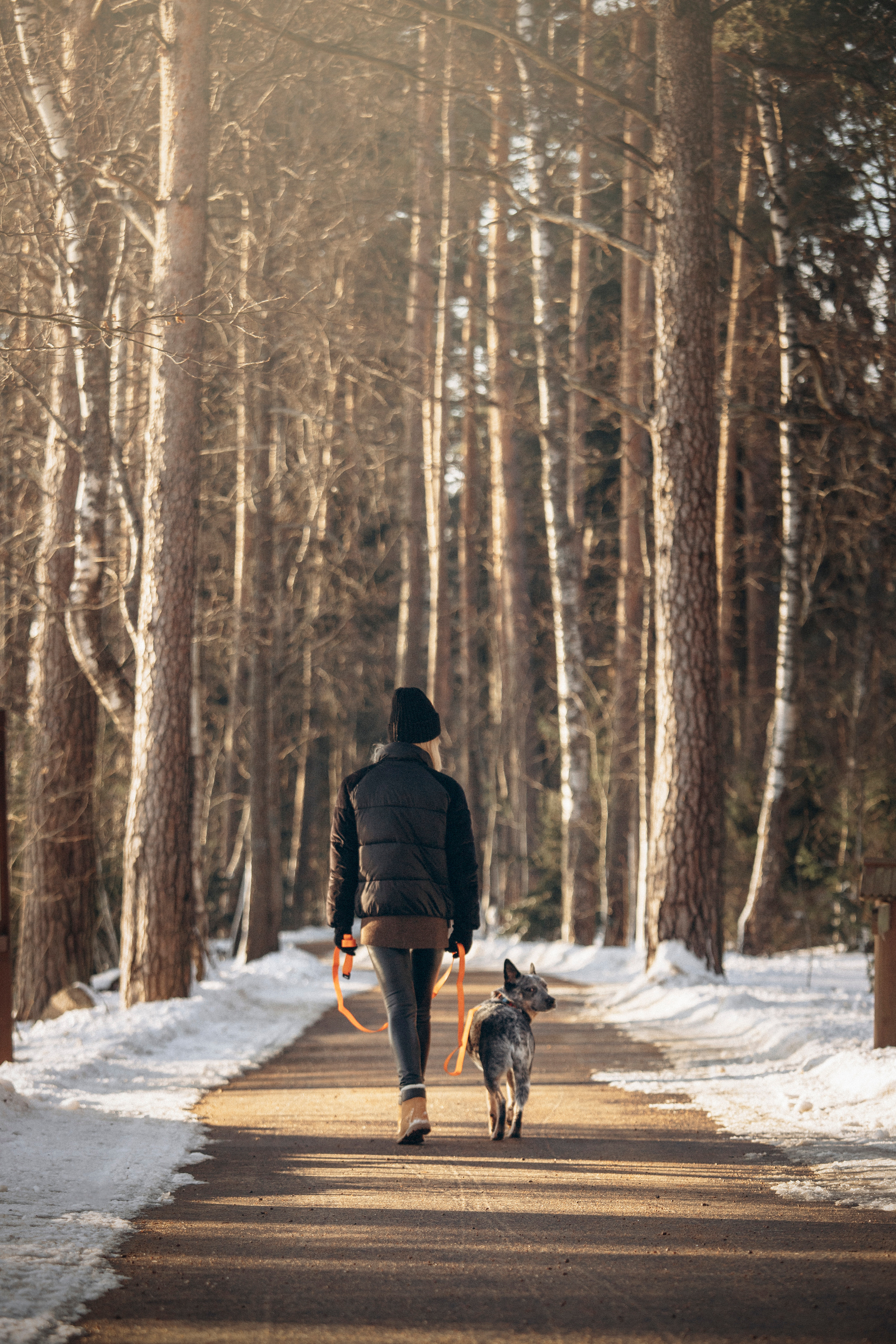 Оля и Мотя. Фотограф — Анималист | Санкт-Петербург