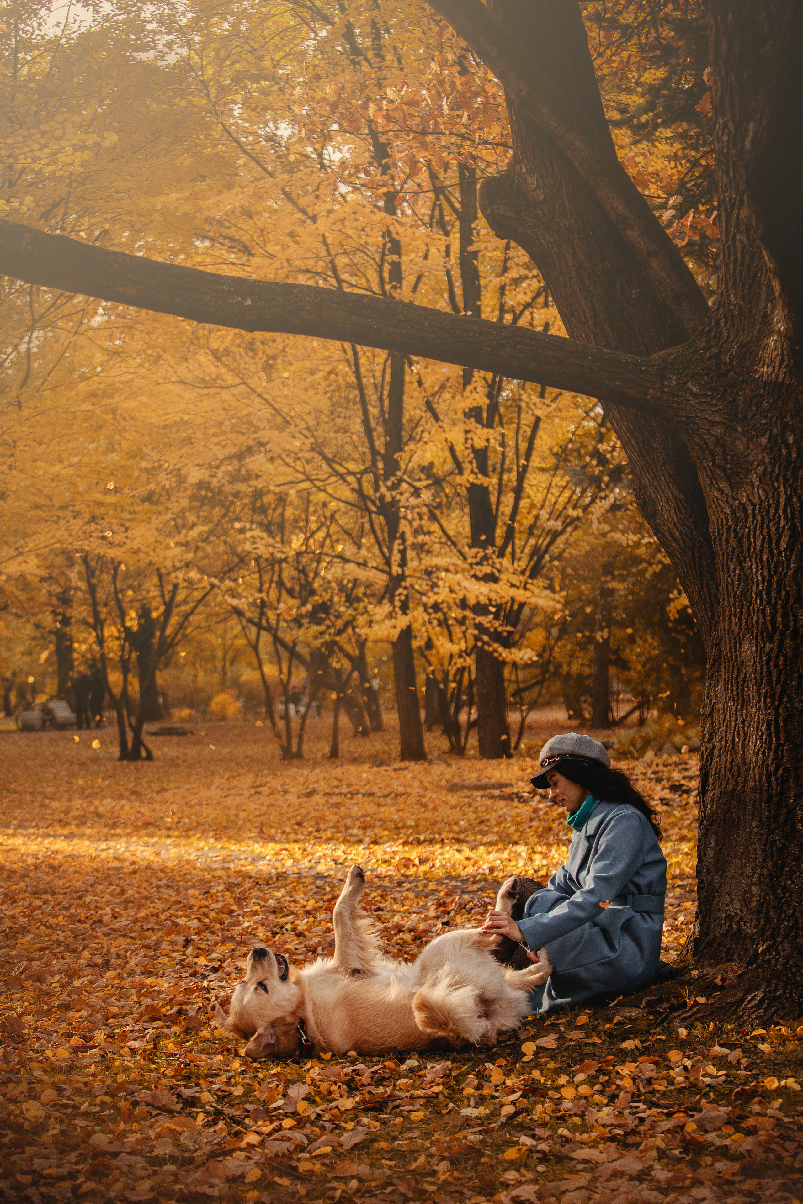 Лёвушка и его семья. Фотограф — Анималист | Санкт-Петербург