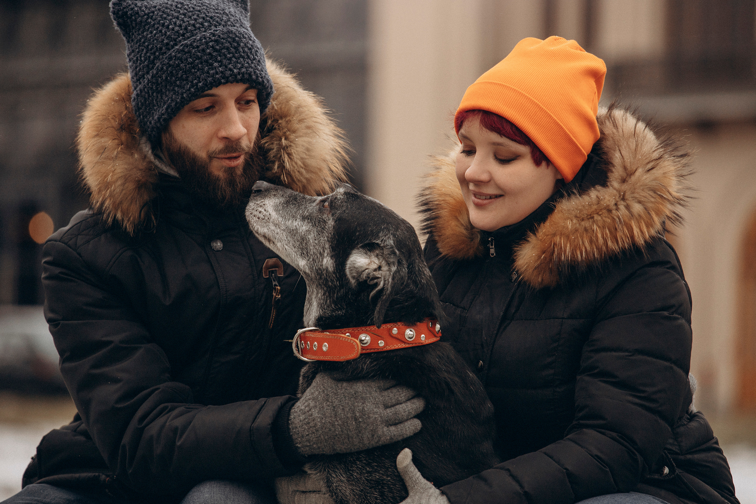 Ангус и его семья. Фотограф — Анималист | Санкт-Петербург