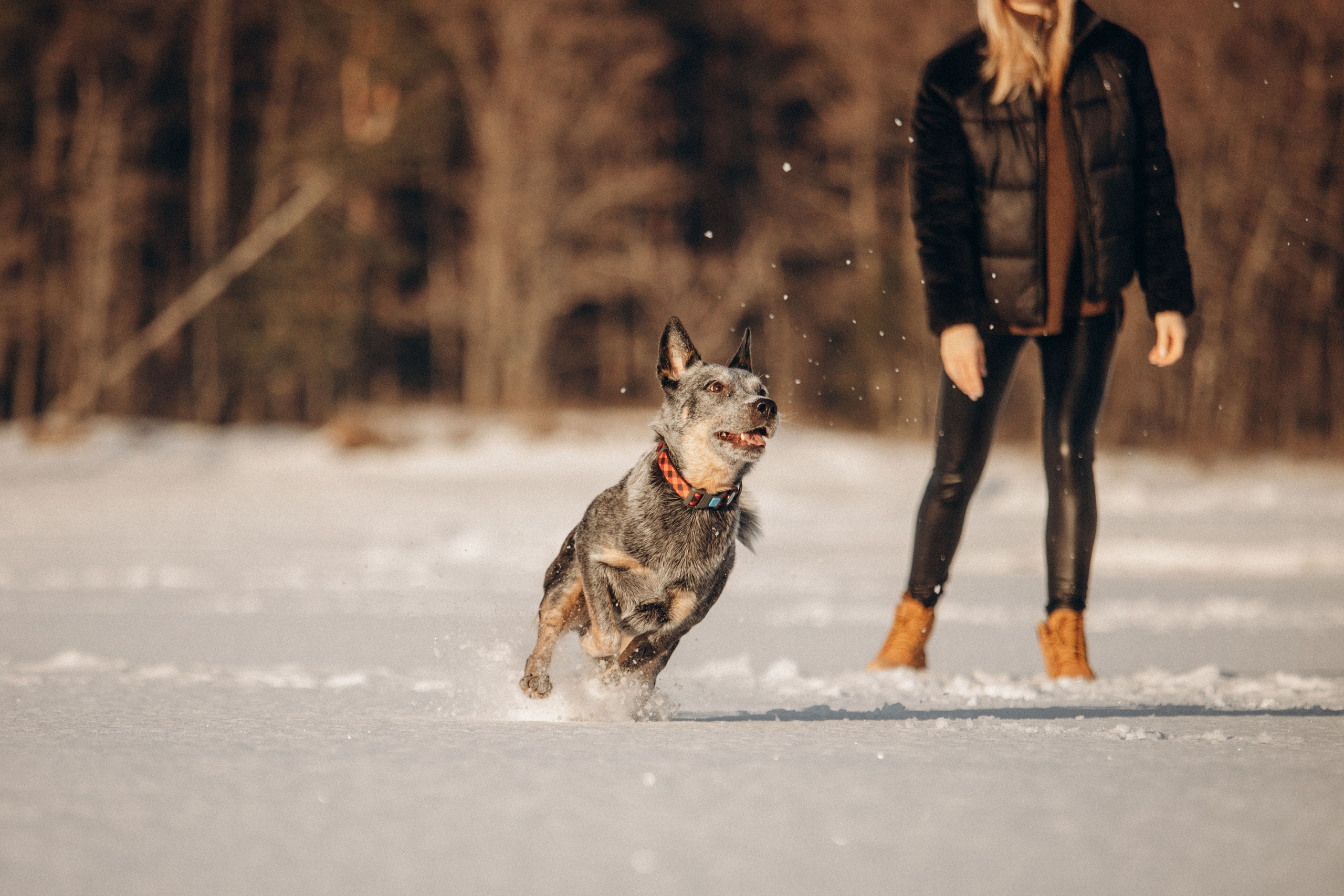 Оля и Мотя. Фотограф — Анималист | Санкт-Петербург