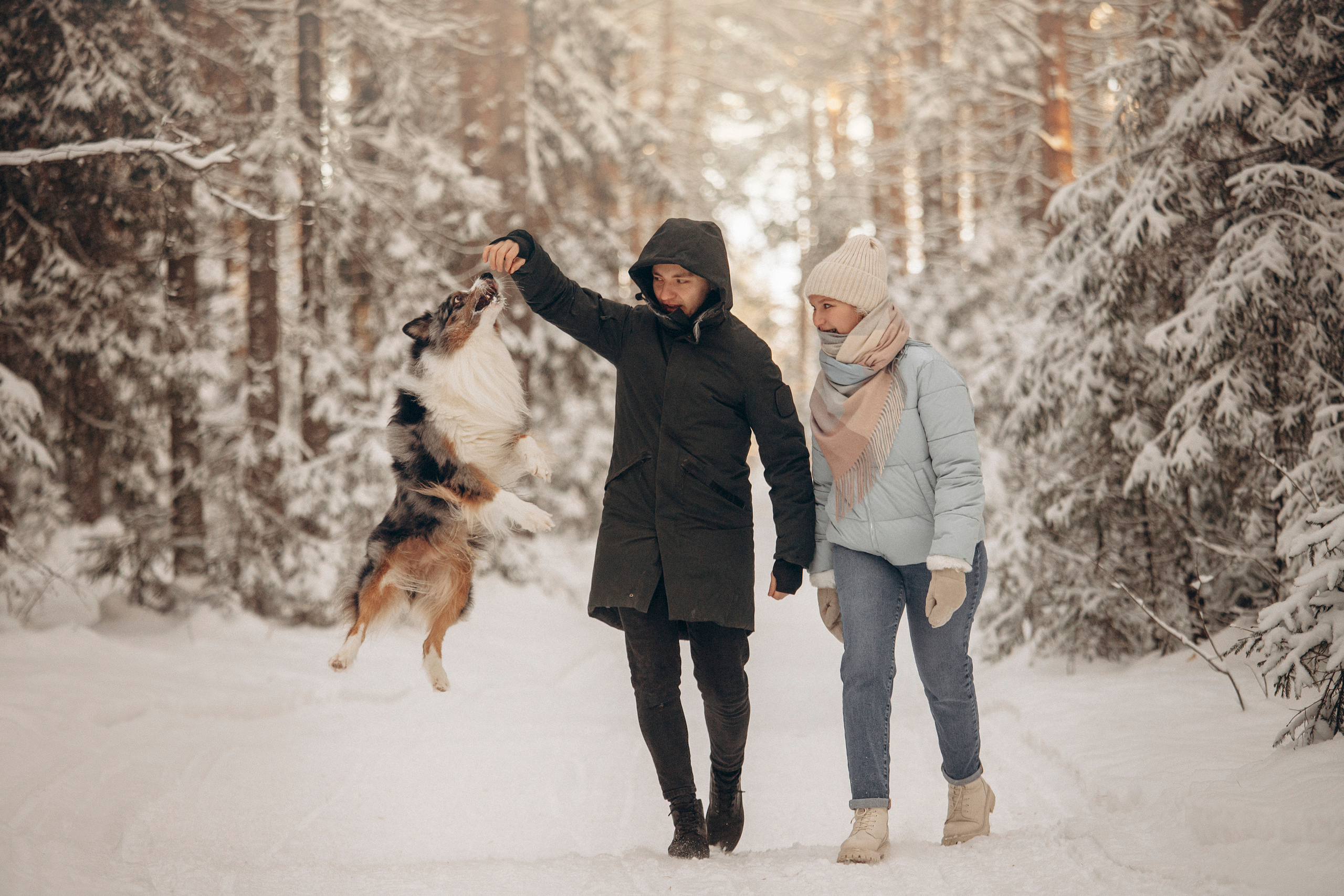 Айк и его семья. Фотограф — Анималист | Санкт-Петербург