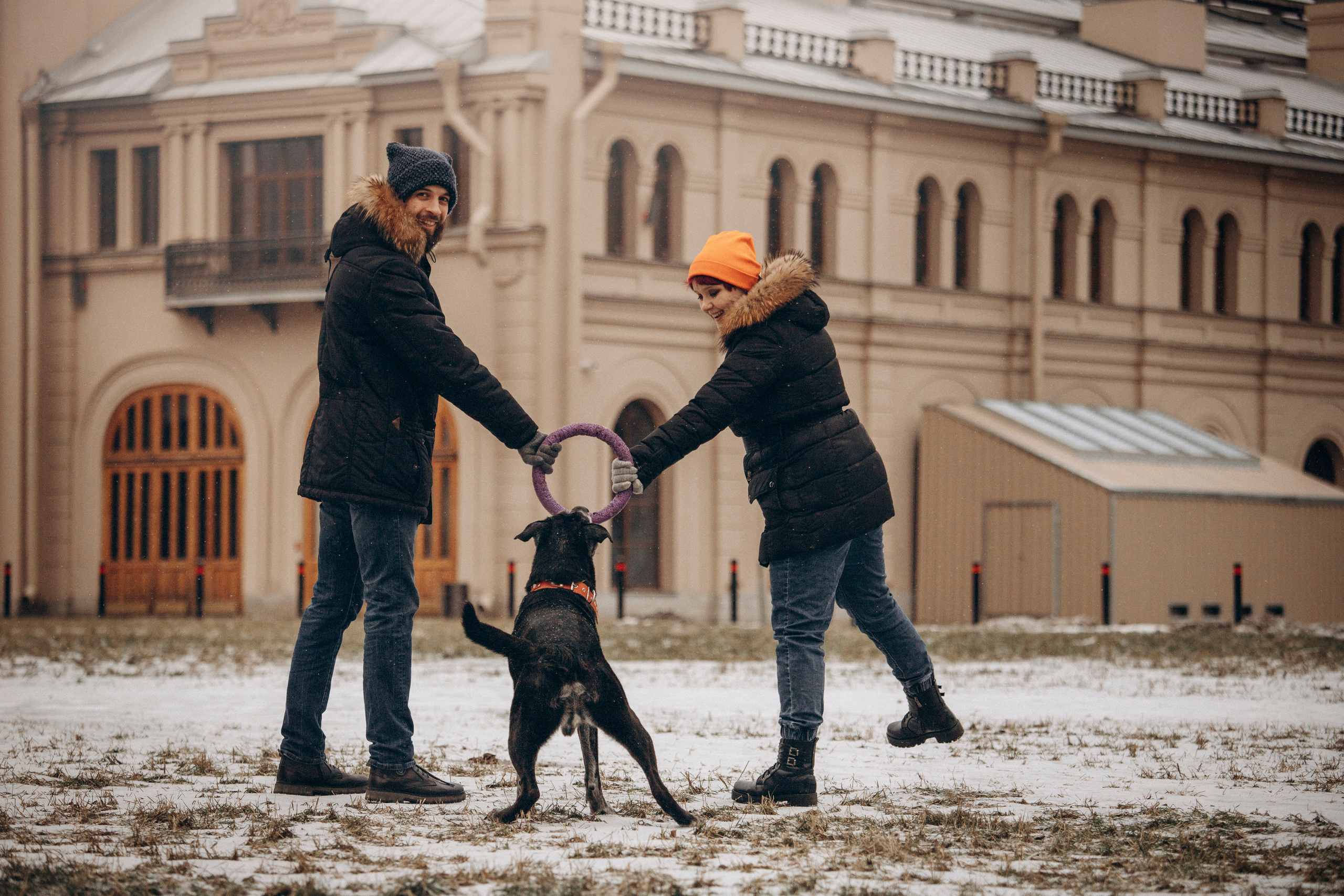 Ангус и его семья. Фотограф — Анималист | Санкт-Петербург