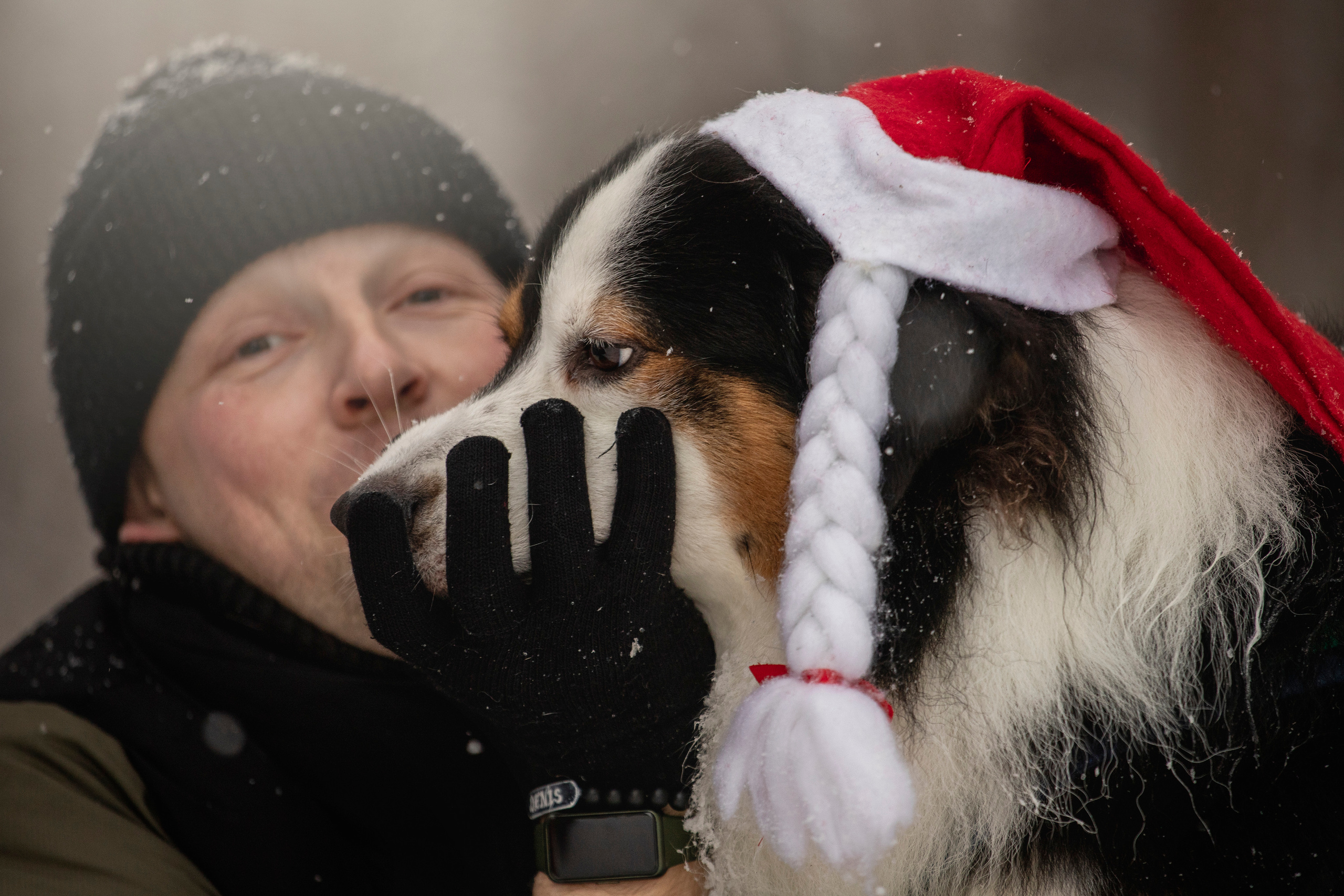 Делик, Скай и их семья. Фотограф — Анималист | Санкт-Петербург