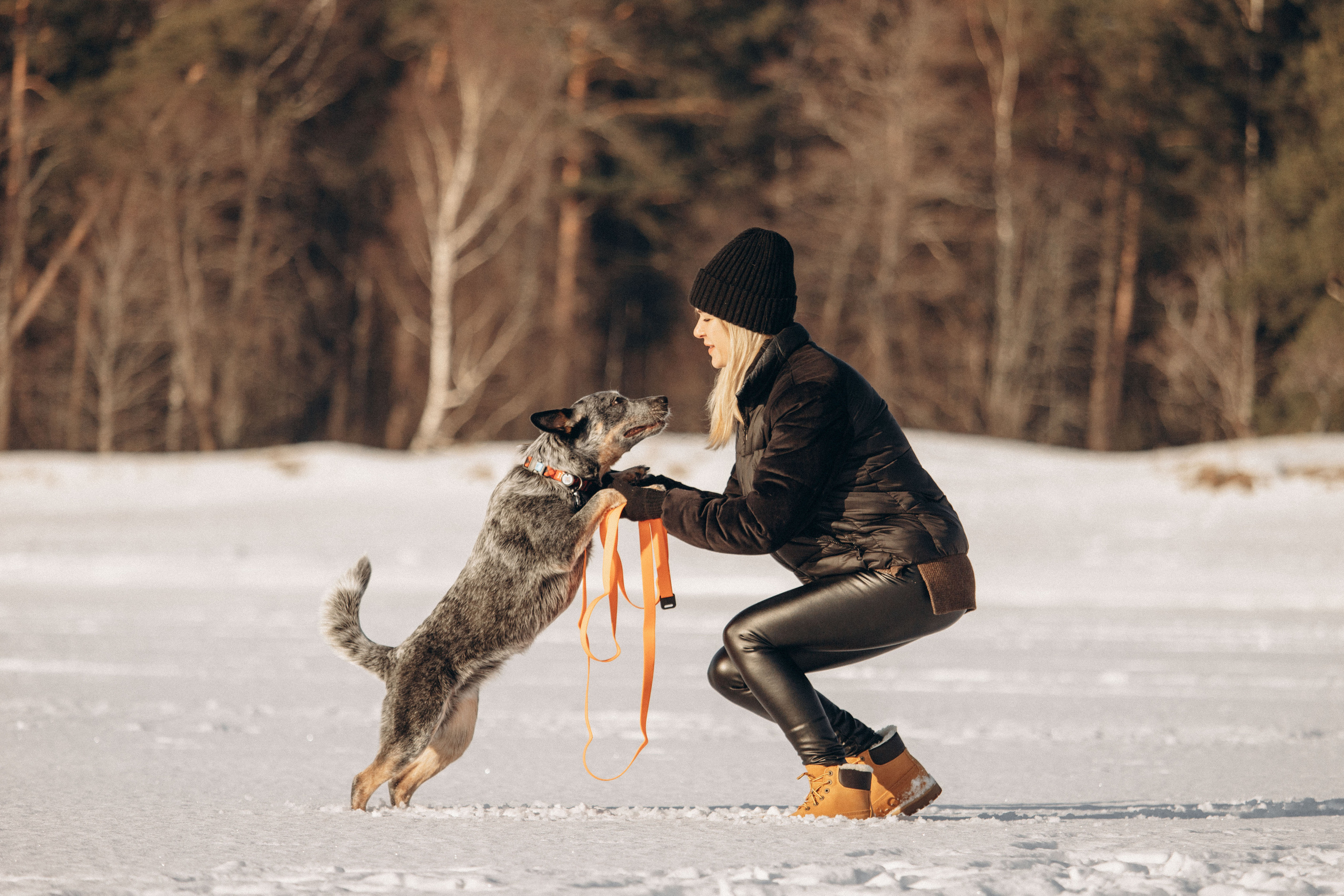 Оля и Мотя. Фотограф — Анималист | Санкт-Петербург