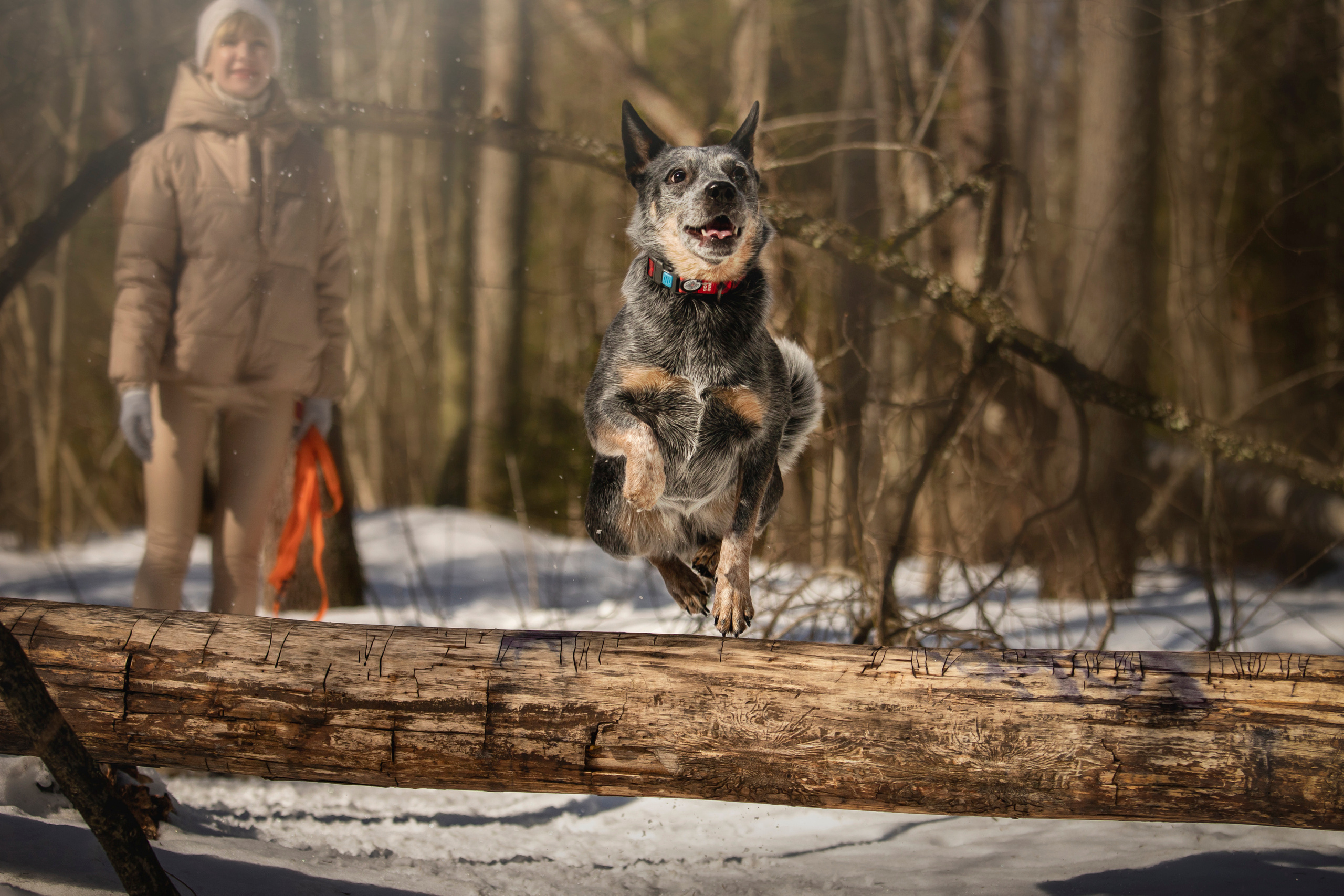Оля и Мотя. Фотограф — Анималист | Санкт-Петербург