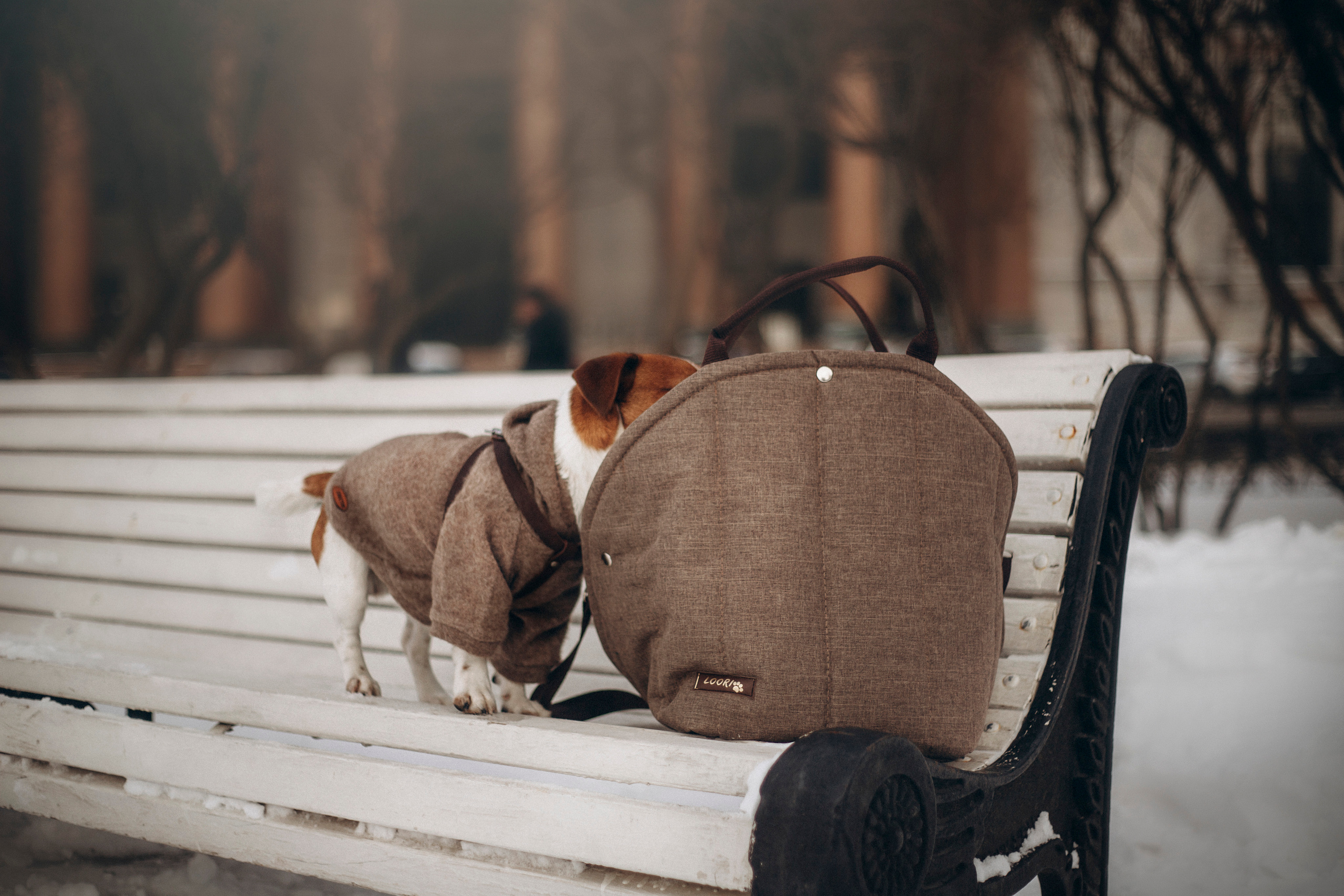 Даша и Бакс. Фотограф — Анималист | Санкт-Петербург