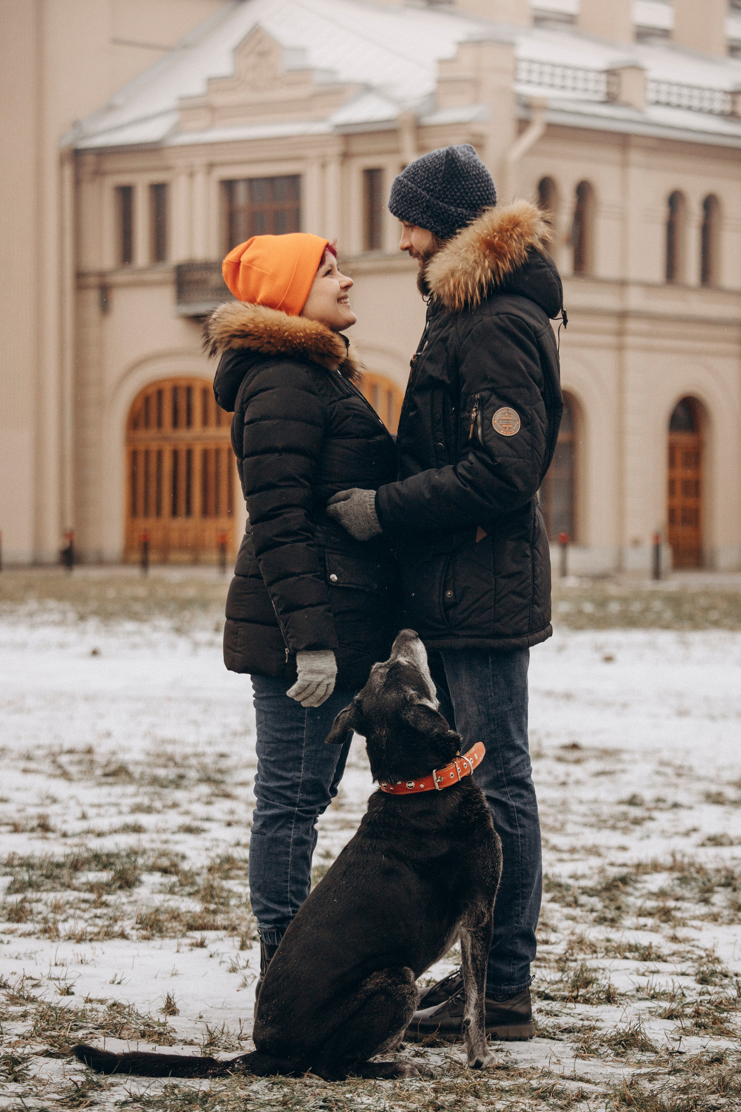 Ангус и его семья. Фотограф — Анималист | Санкт-Петербург