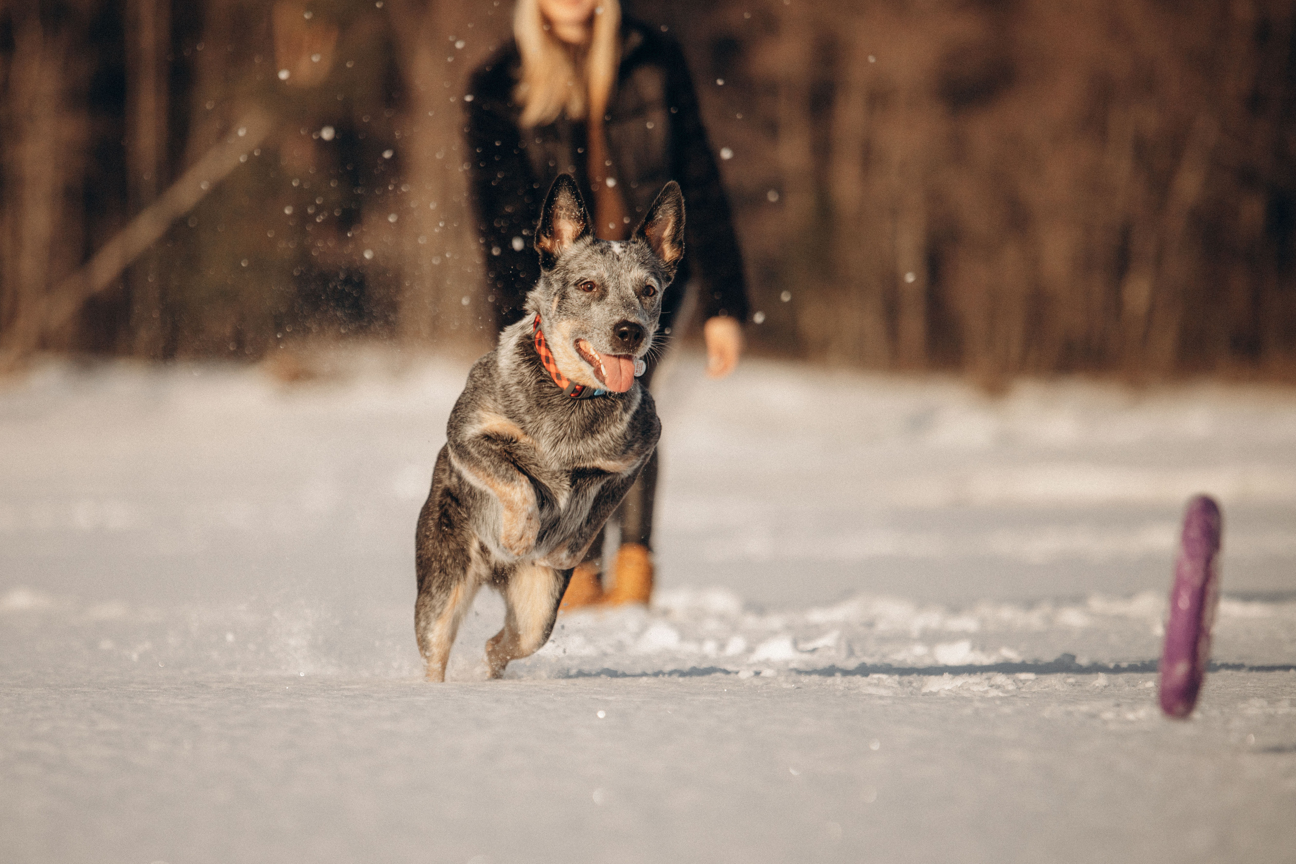 Оля и Мотя. Фотограф — Анималист | Санкт-Петербург