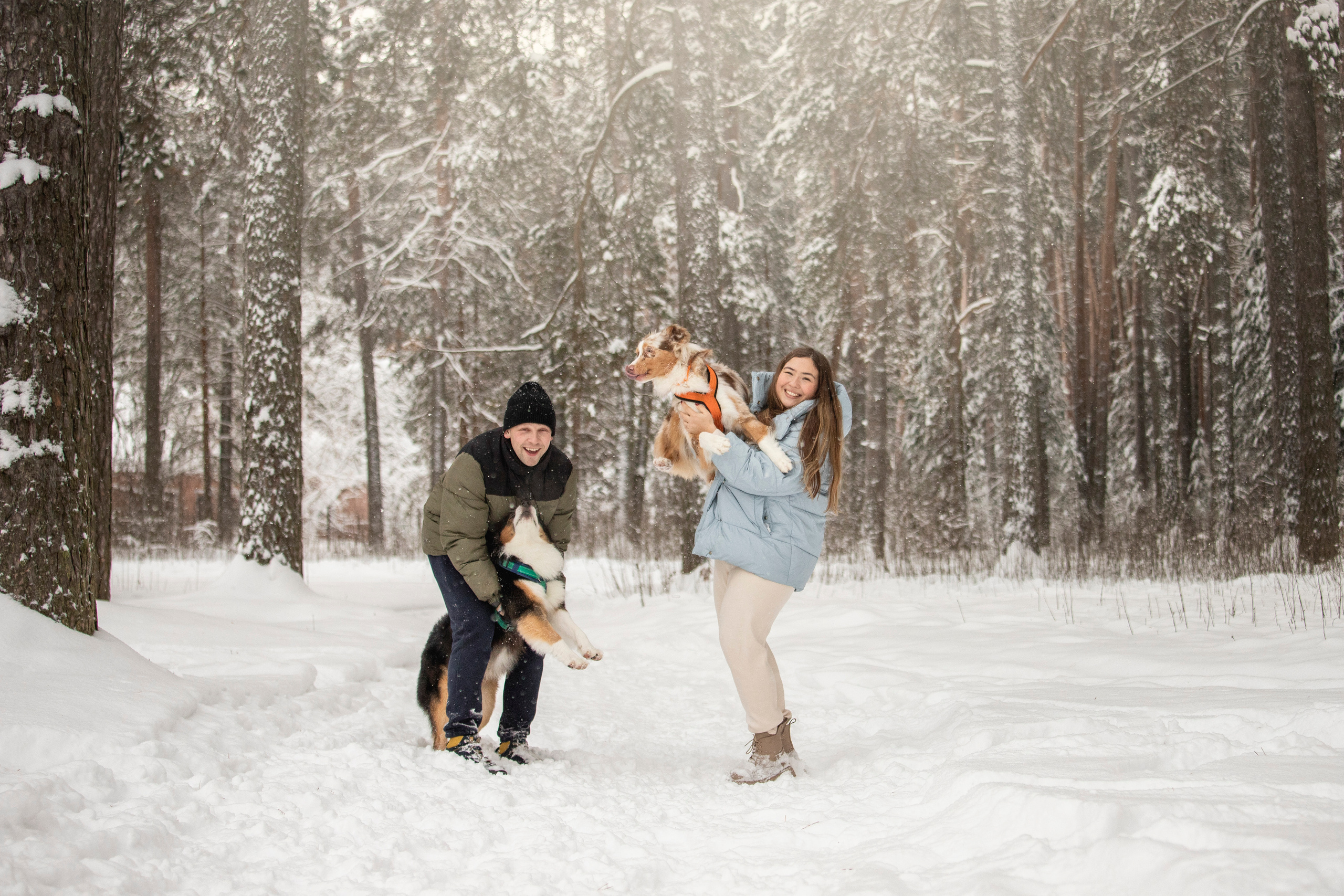 Делик, Скай и их семья. Фотограф — Анималист | Санкт-Петербург