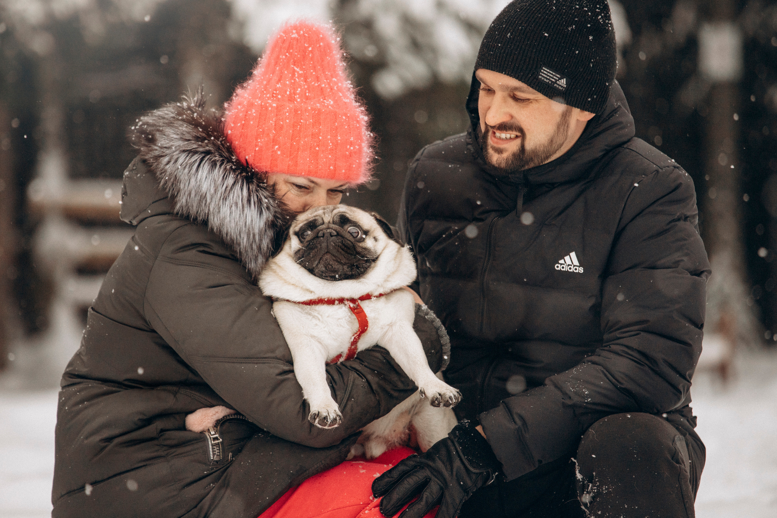 Марго, Степа и их семья. Фотограф — Анималист | Санкт-Петербург