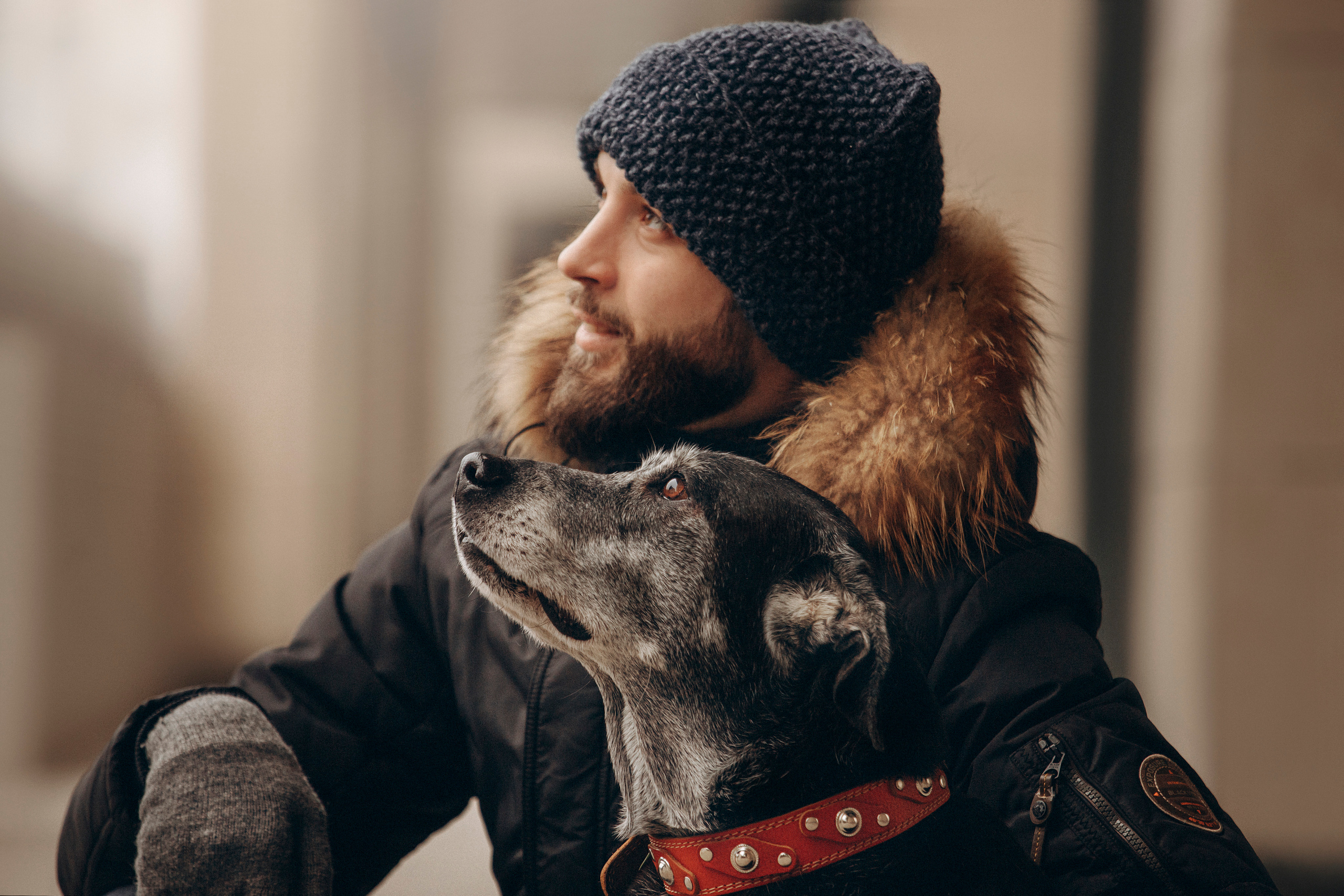 Ангус и его семья. Фотограф — Анималист | Санкт-Петербург