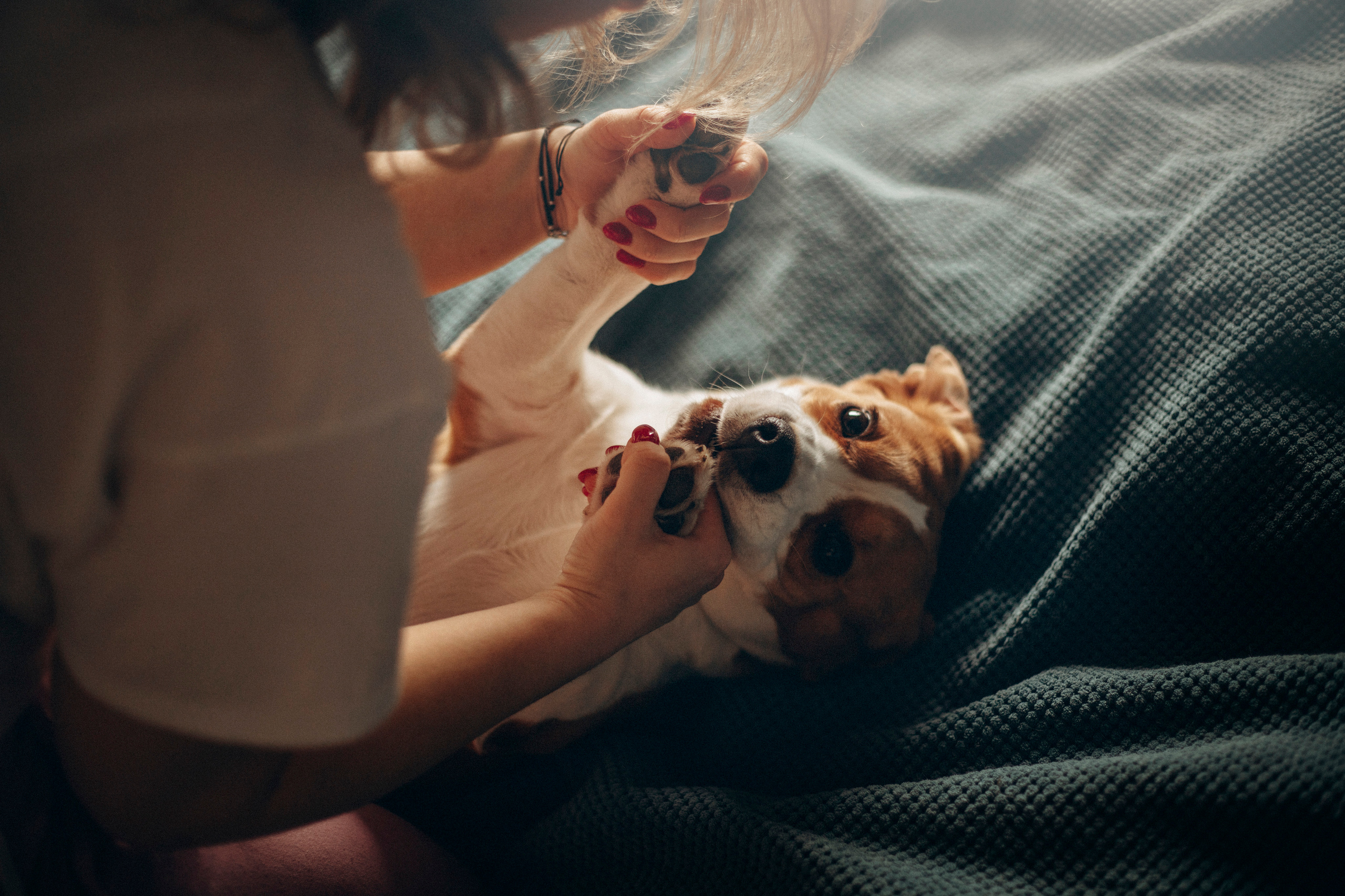 Полина и Бетти. Фотограф — Анималист | Санкт-Петербург