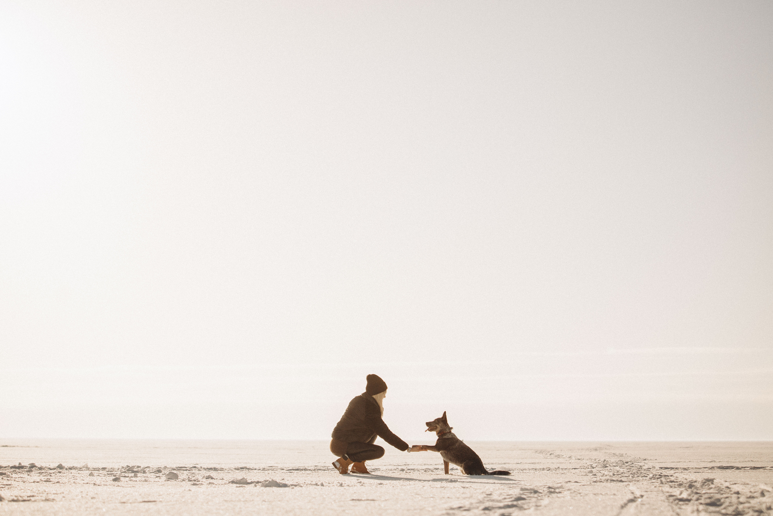 Оля и Мотя. Фотограф — Анималист | Санкт-Петербург