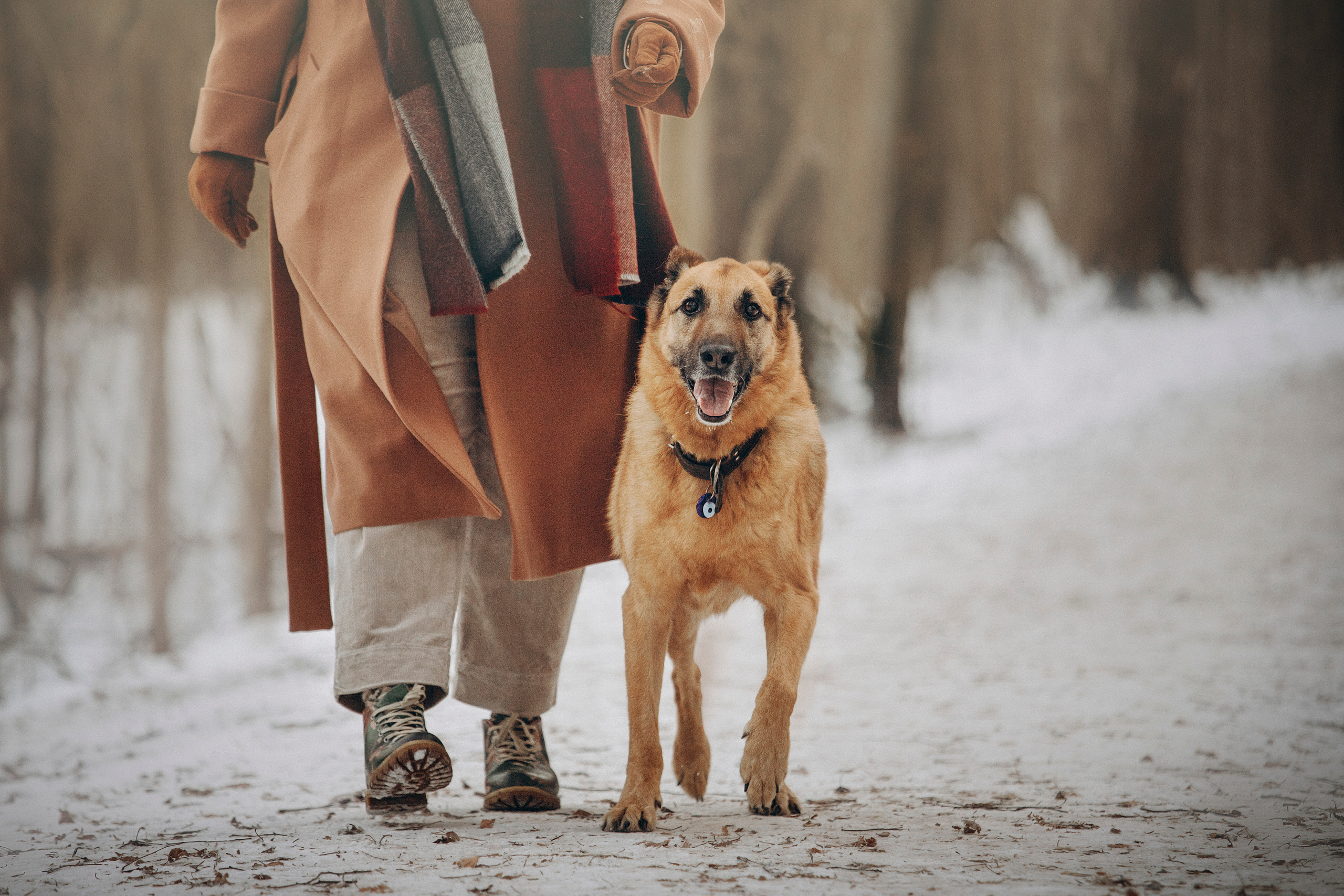 Олеся и Бу. Фотограф — Анималист | Санкт-Петербург