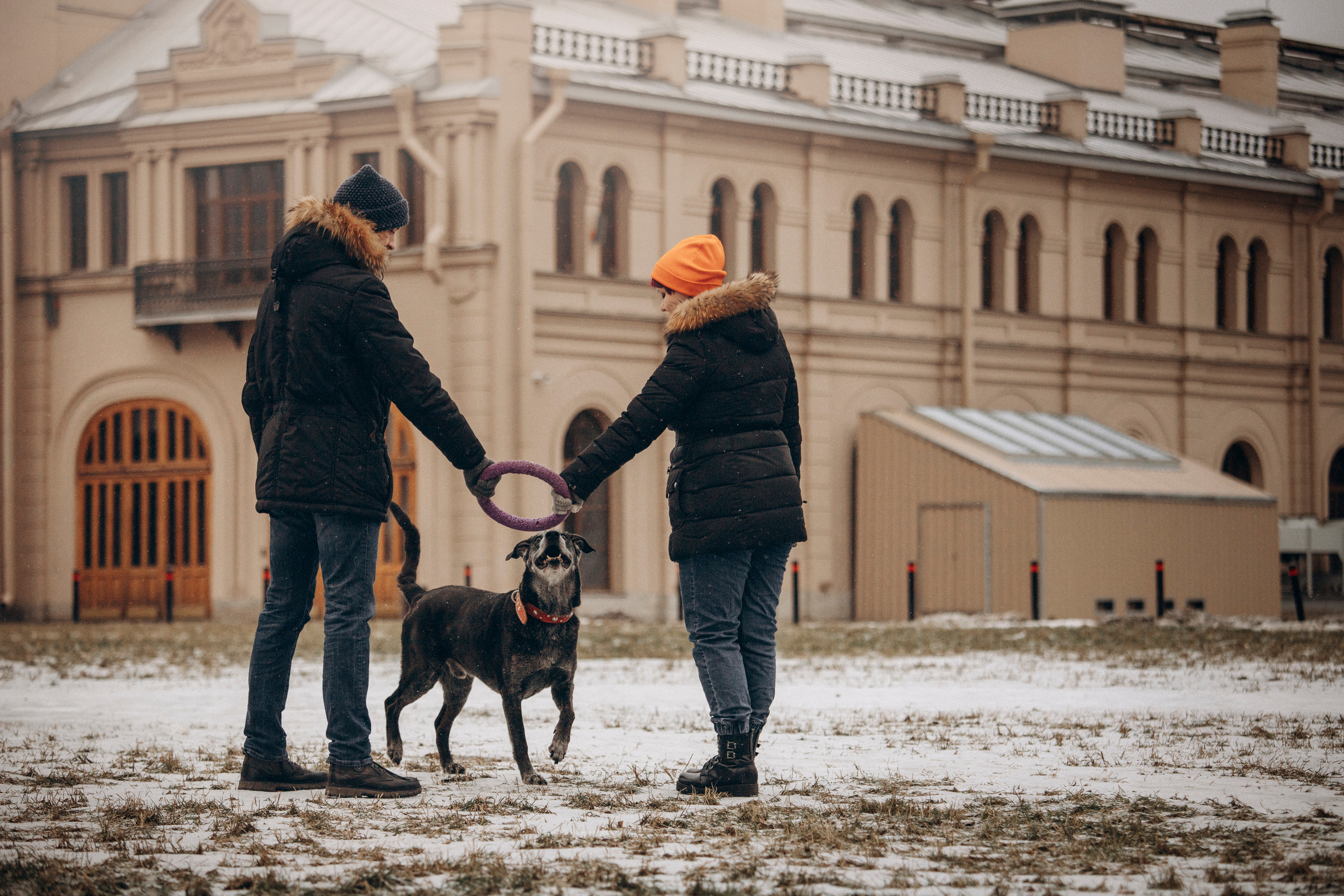 Ангус и его семья. Фотограф — Анималист | Санкт-Петербург