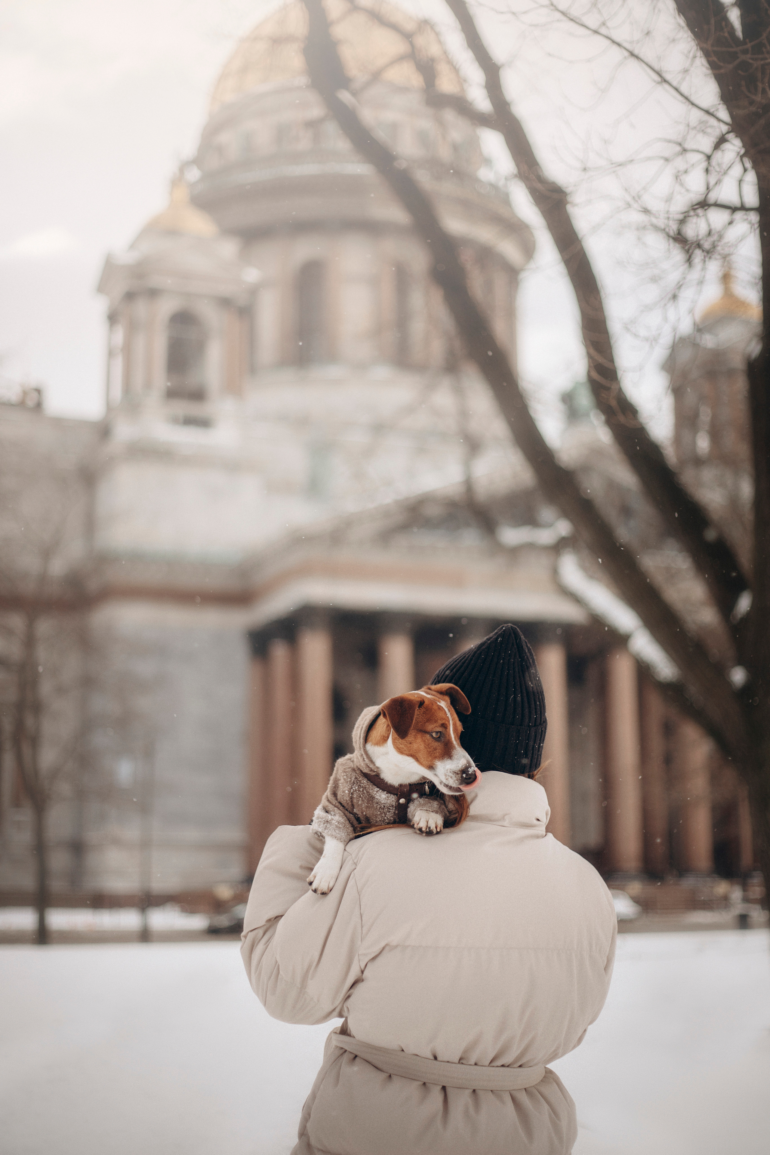 Даша и Бакс. Фотограф — Анималист | Санкт-Петербург