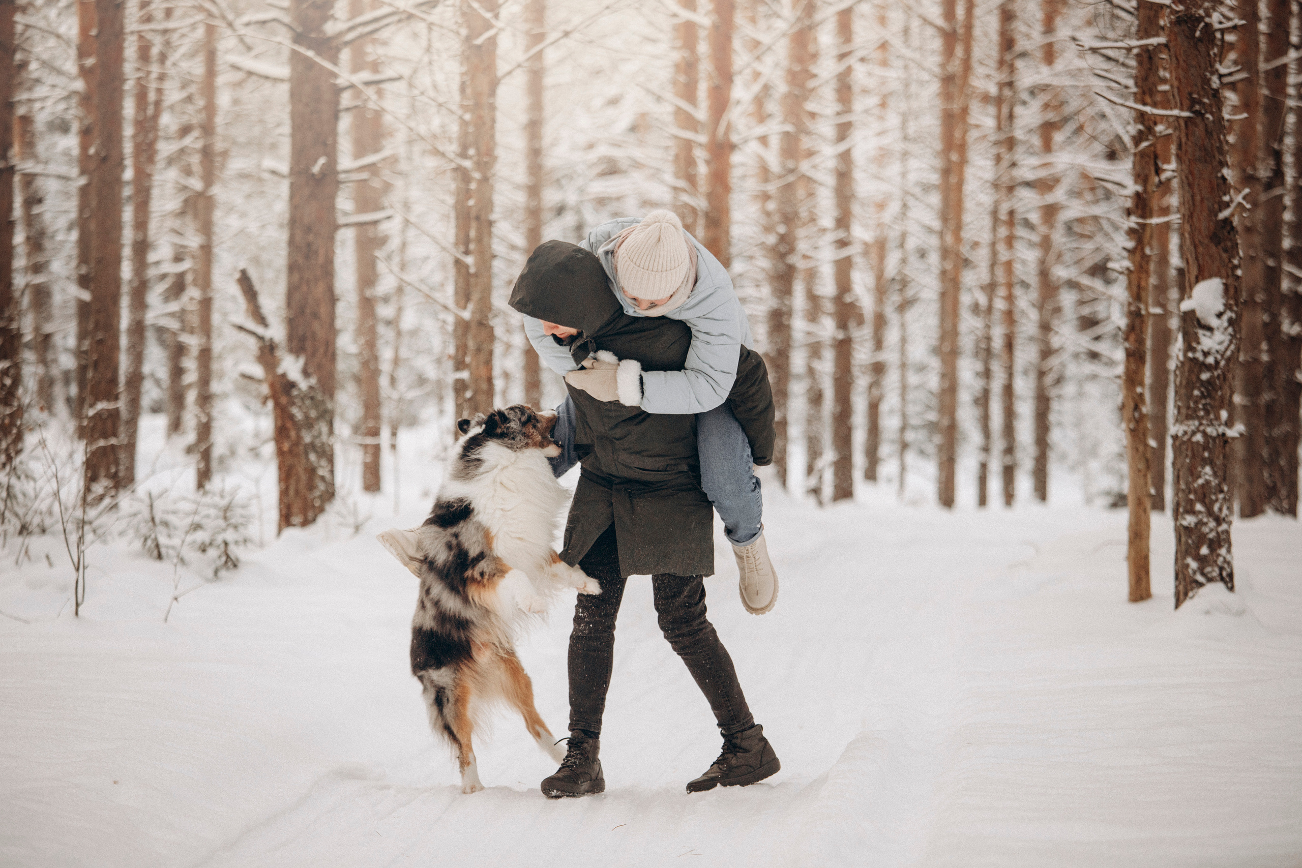 Айк и его семья. Фотограф — Анималист | Санкт-Петербург