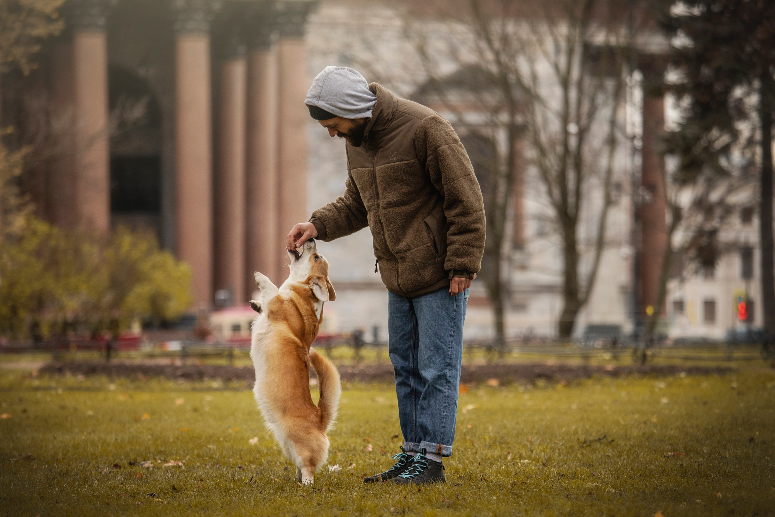 Барни и его семья. Фотограф — Анималист | Санкт-Петербург