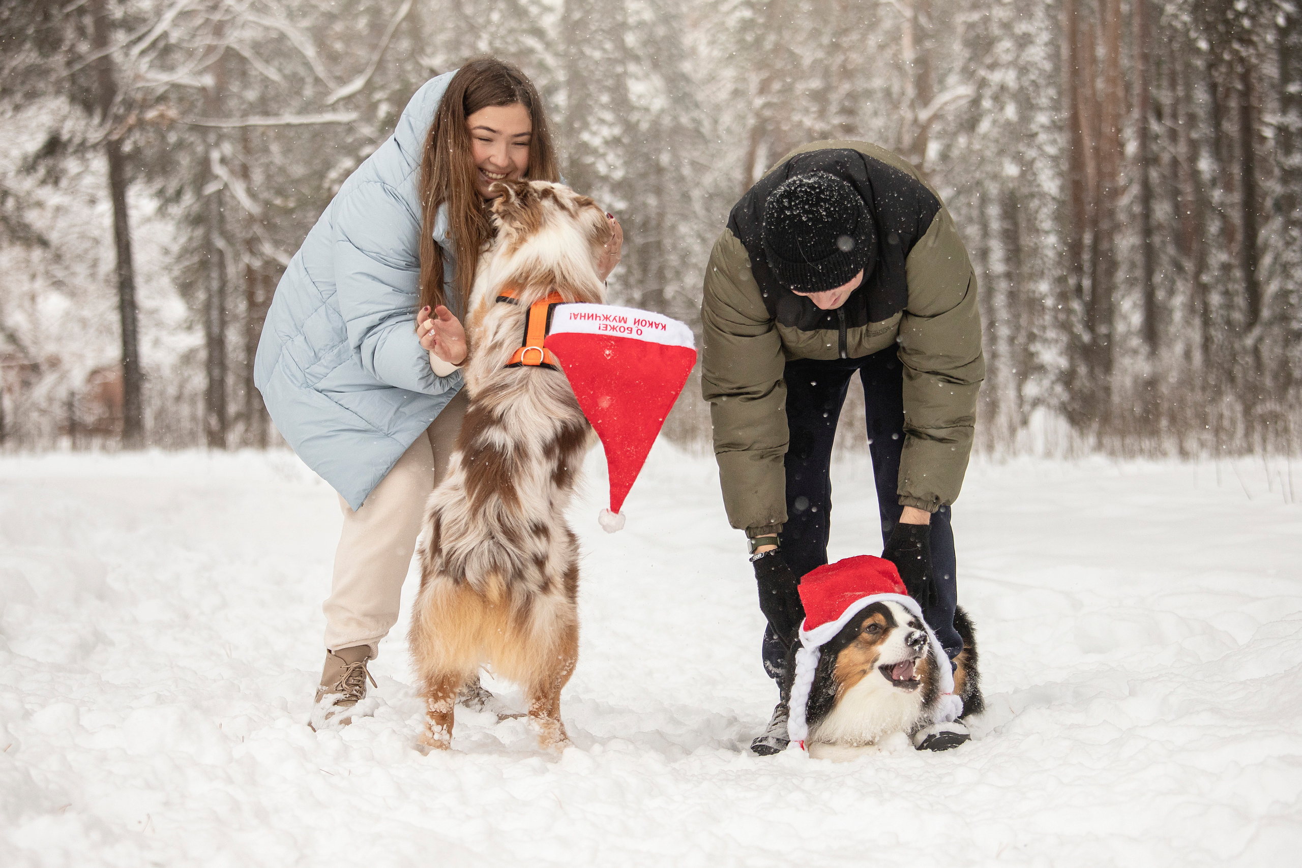 Делик, Скай и их семья. Фотограф — Анималист | Санкт-Петербург