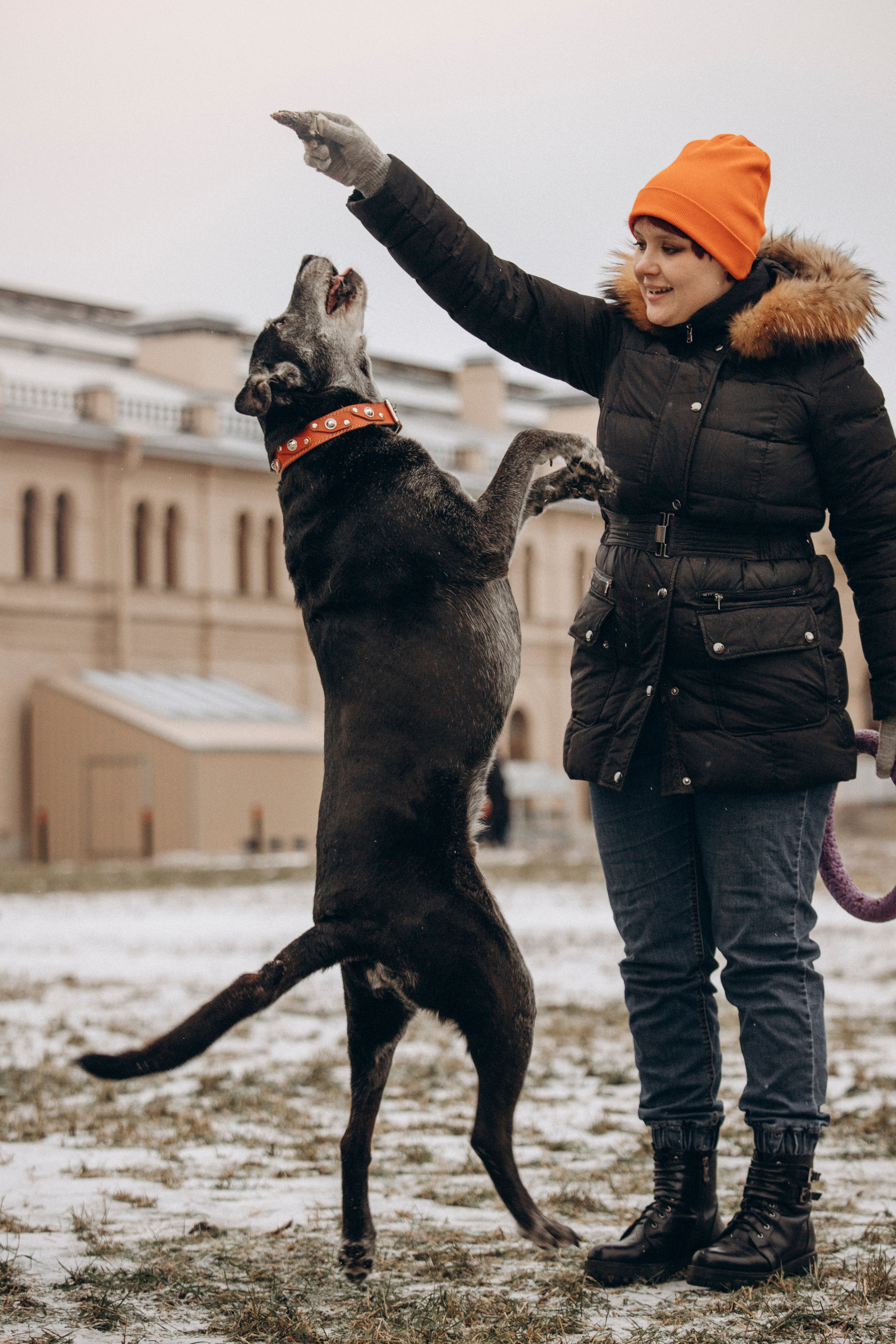 Ангус и его семья. Фотограф — Анималист | Санкт-Петербург