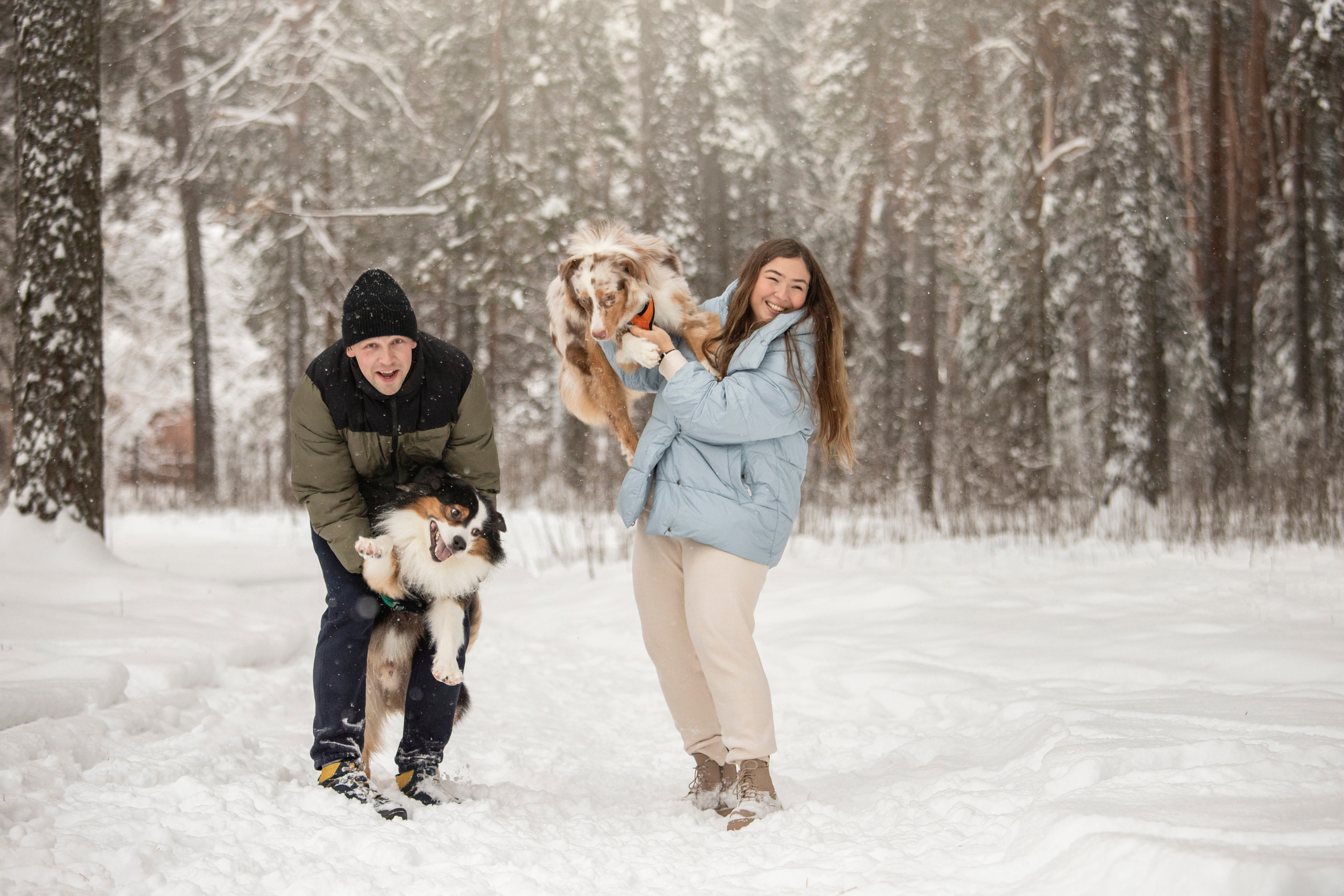 Делик, Скай и их семья. Фотограф — Анималист | Санкт-Петербург