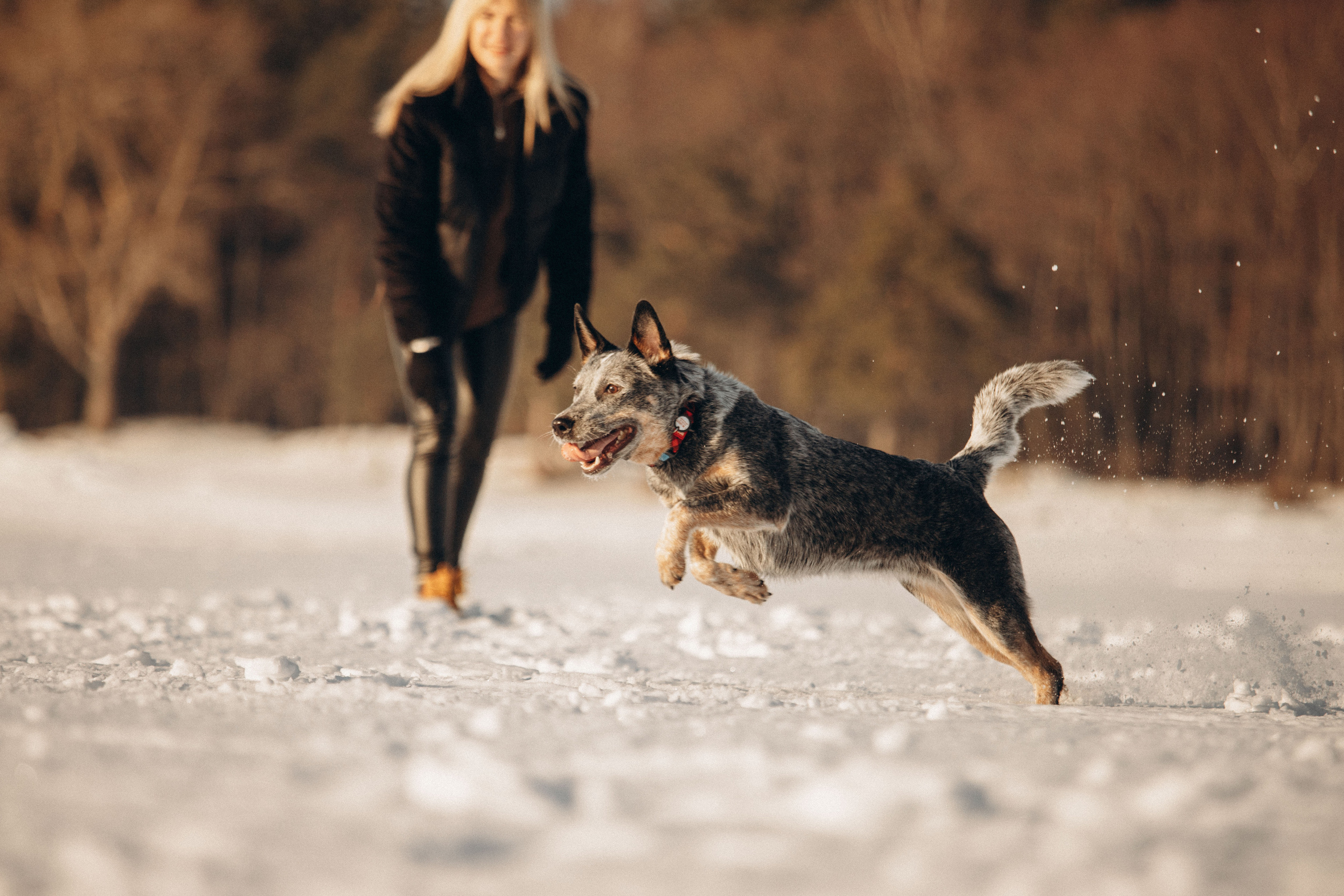Оля и Мотя. Фотограф — Анималист | Санкт-Петербург