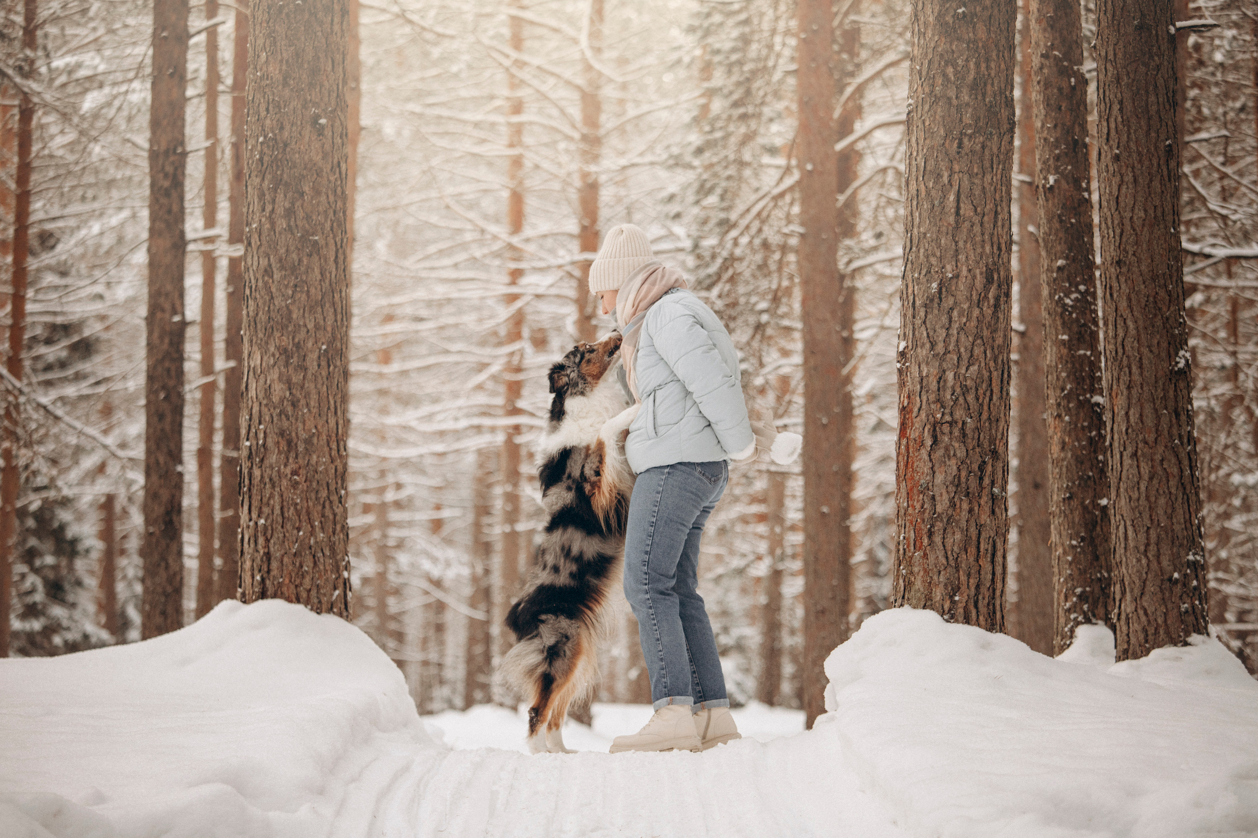 Айк и его семья. Фотограф — Анималист | Санкт-Петербург