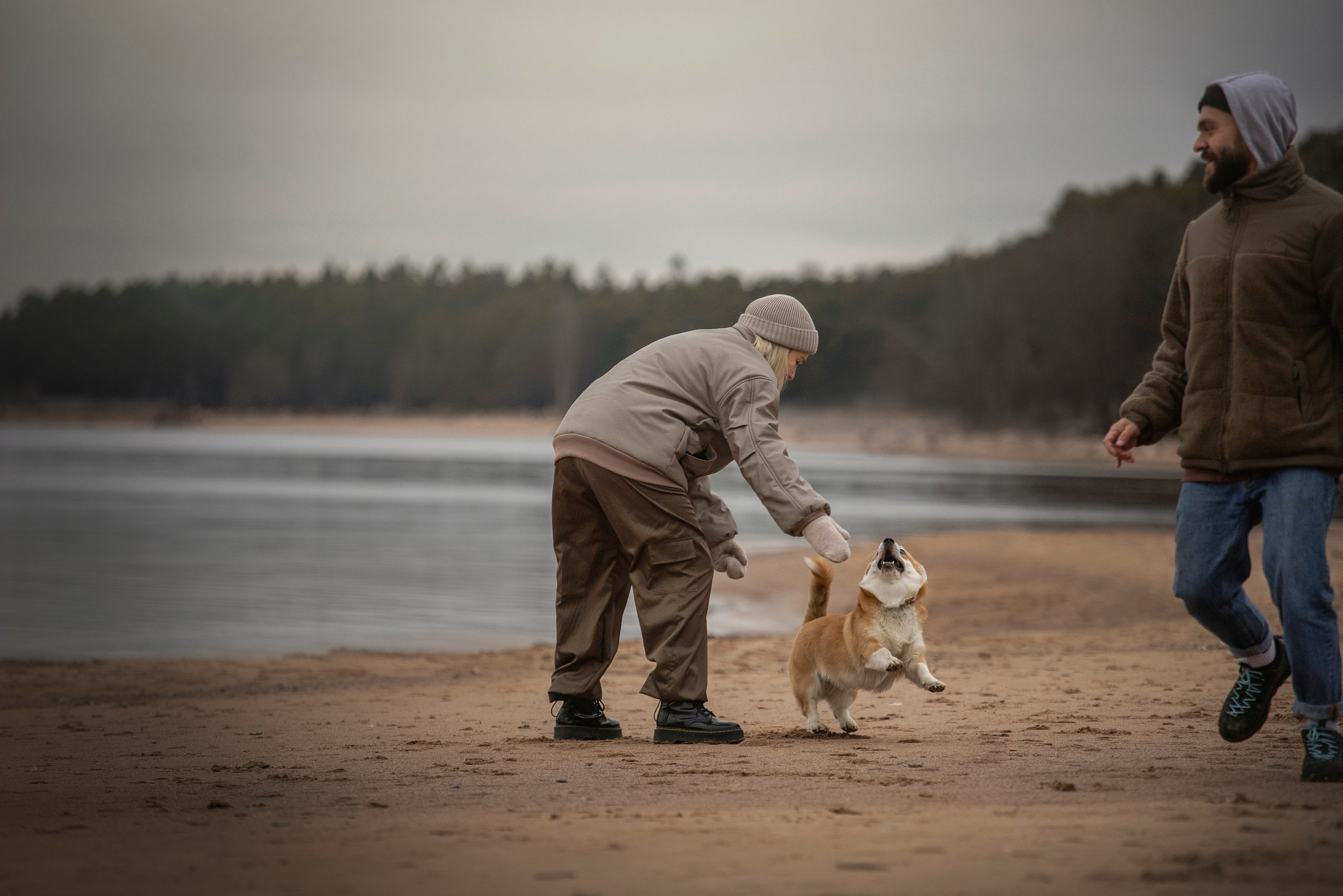 Барни и его семья. Фотограф — Анималист | Санкт-Петербург