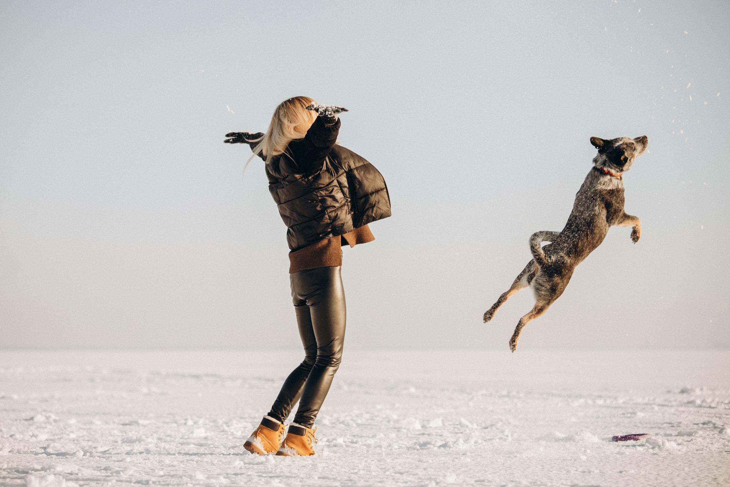Оля и Мотя. Фотограф — Анималист | Санкт-Петербург