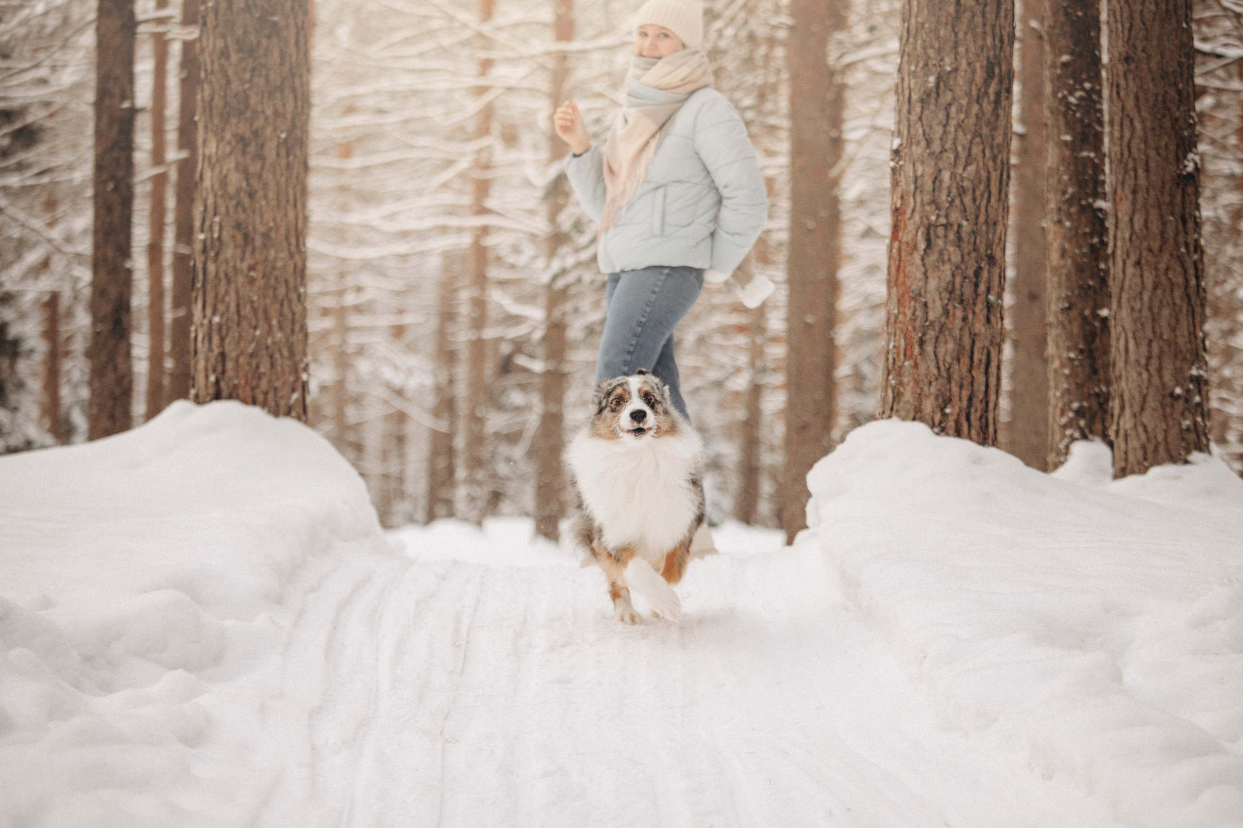 Айк и его семья. Фотограф — Анималист | Санкт-Петербург