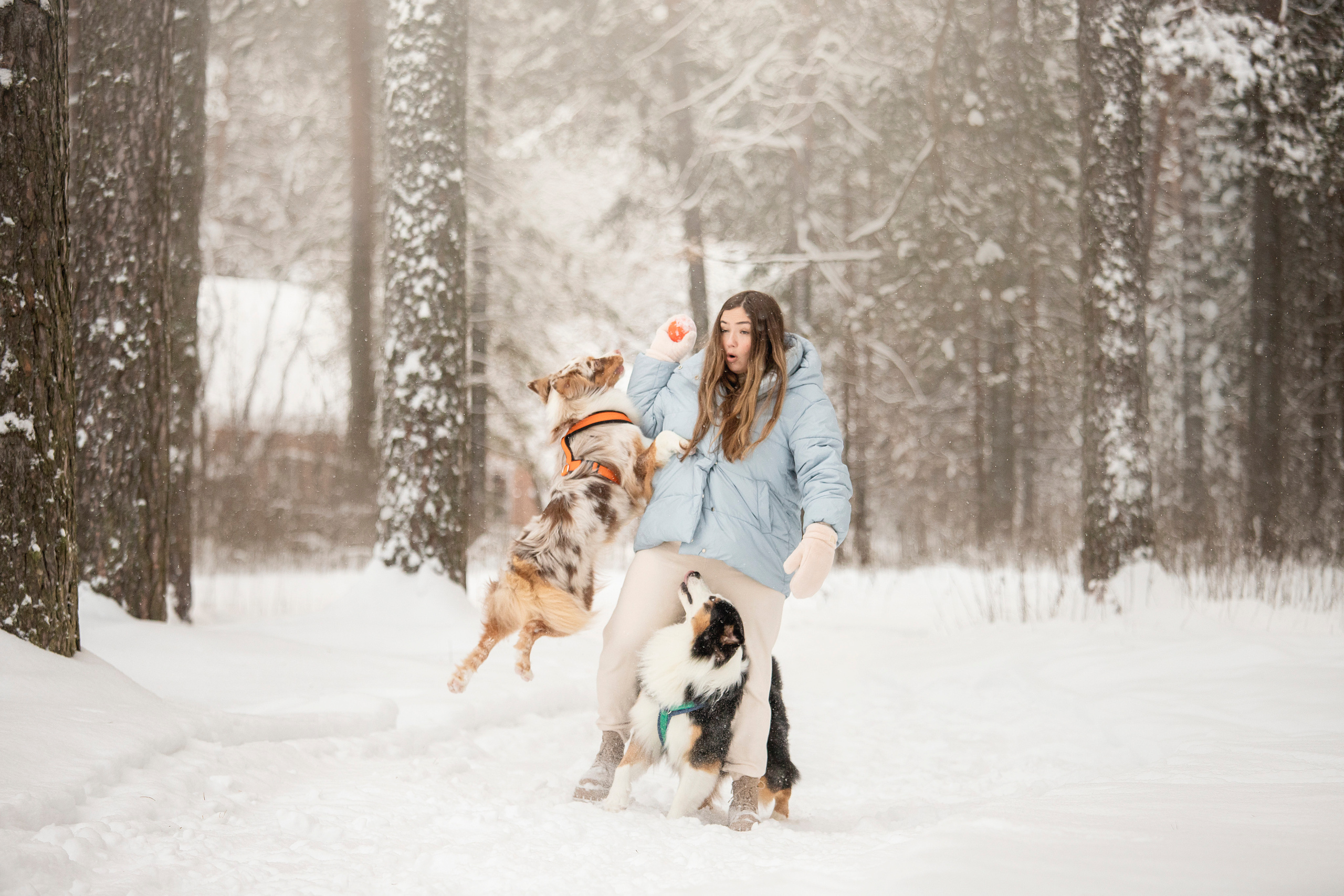 Делик, Скай и их семья. Фотограф — Анималист | Санкт-Петербург