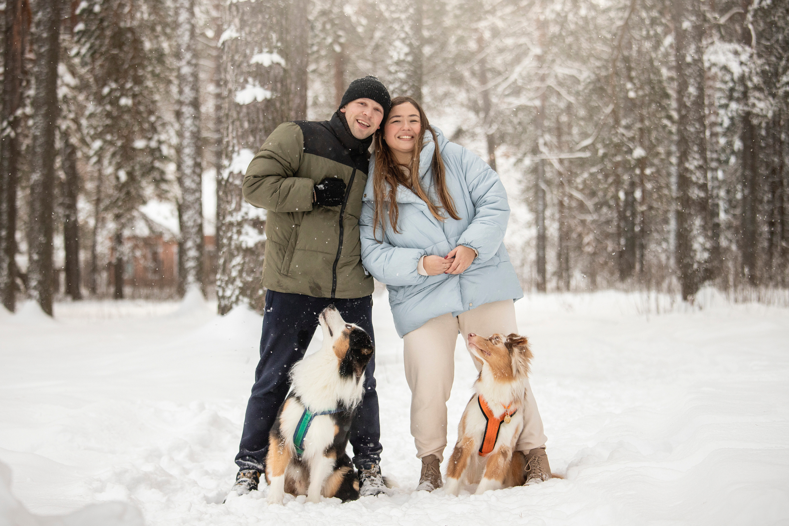 Делик, Скай и их семья. Фотограф — Анималист | Санкт-Петербург