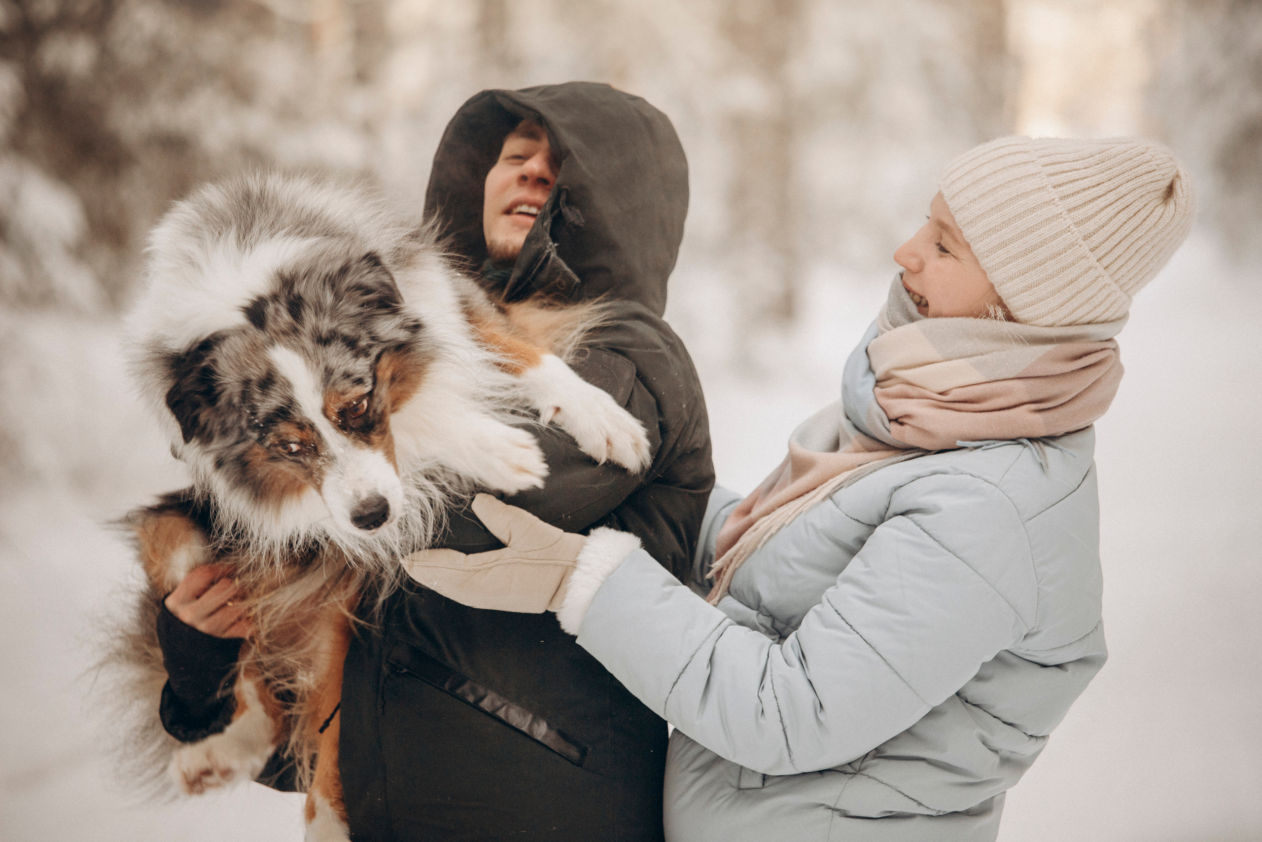 Айк и его семья. Фотограф — Анималист | Санкт-Петербург