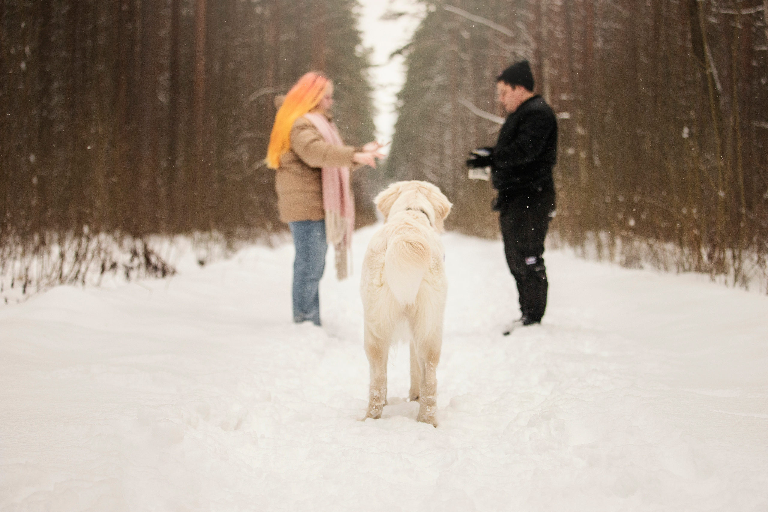 Милка и ее семья. Фотограф — Анималист | Санкт-Петербург