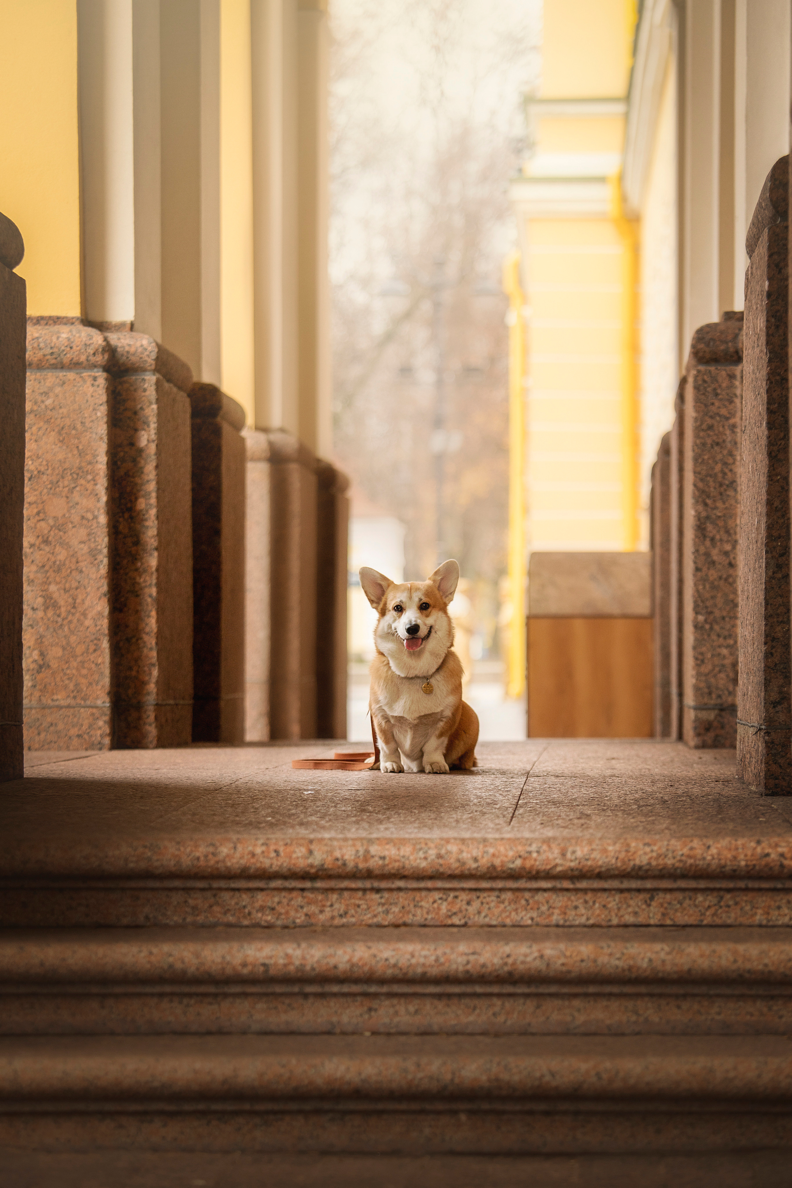 Барни и его семья. Фотограф — Анималист | Санкт-Петербург