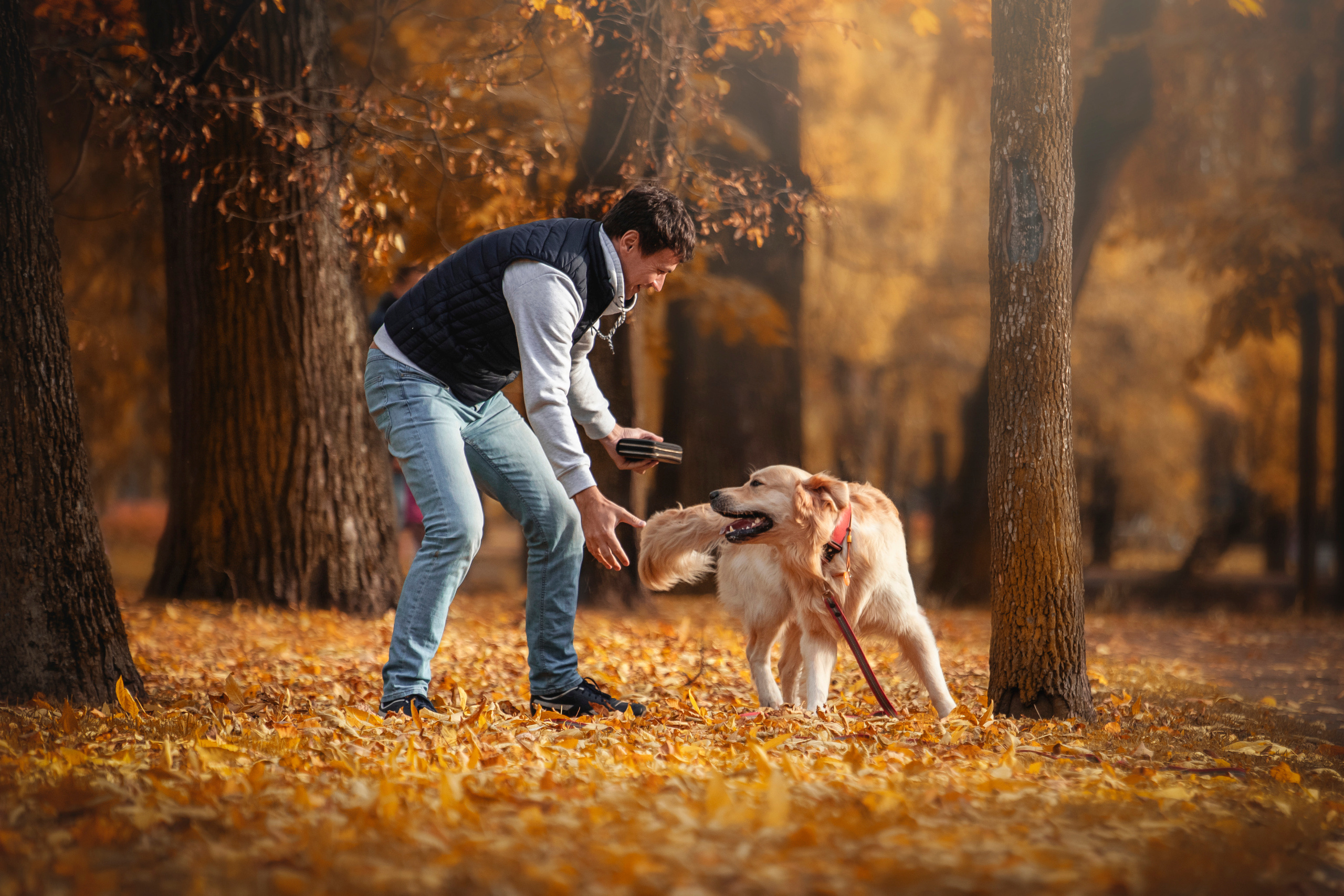 Лёвушка и его семья. Фотограф — Анималист | Санкт-Петербург