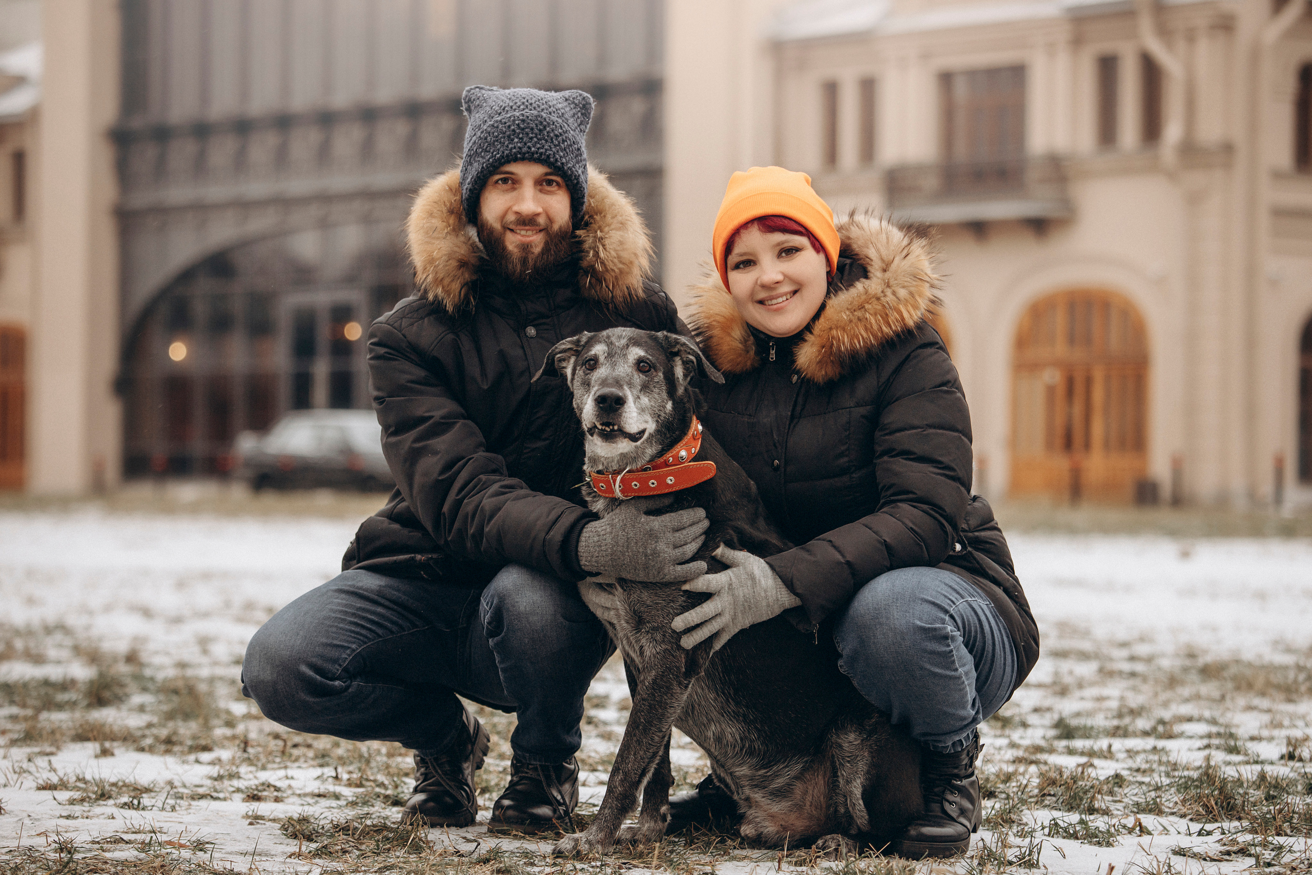 Ангус и его семья. Фотограф — Анималист | Санкт-Петербург