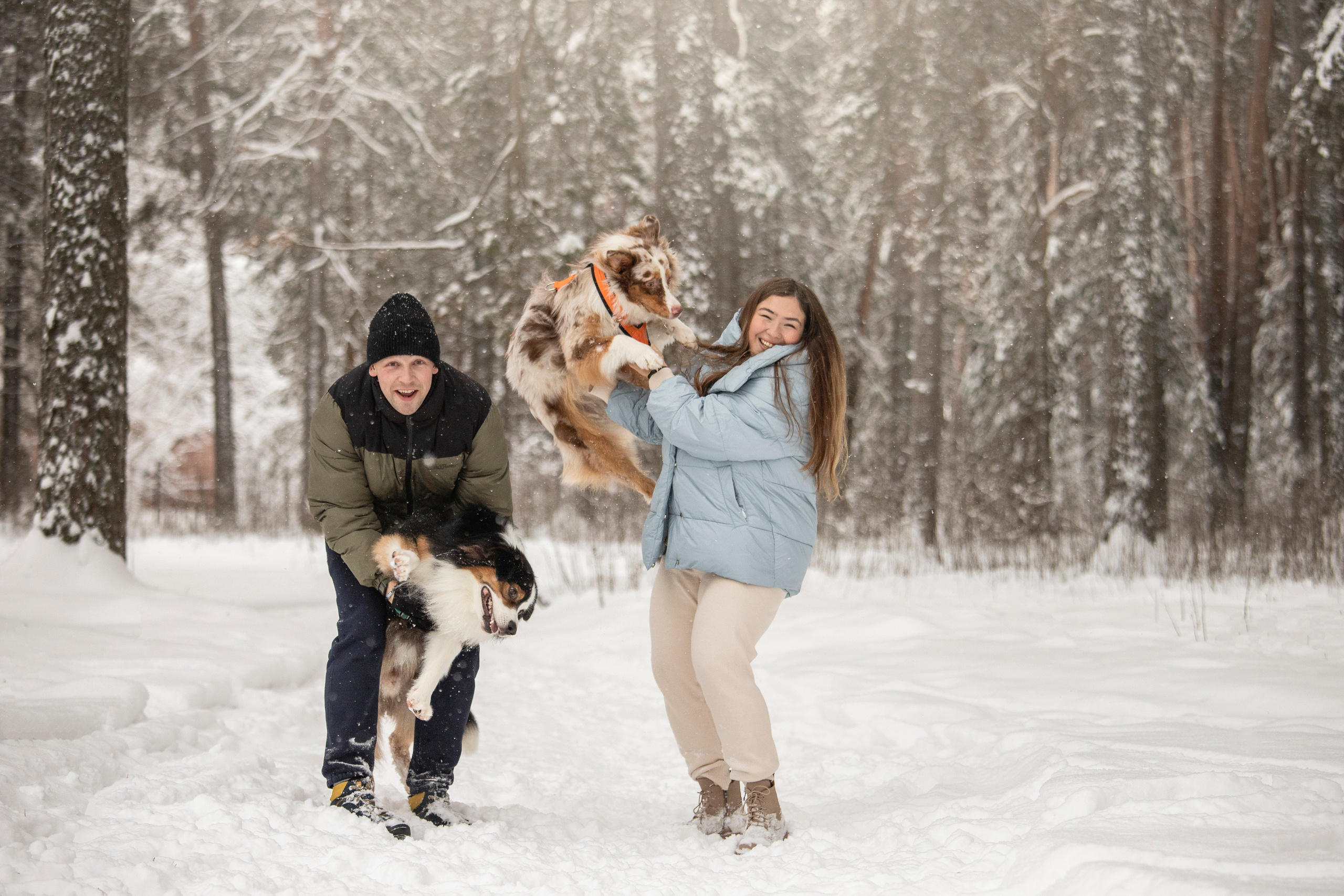 Делик, Скай и их семья. Фотограф — Анималист | Санкт-Петербург
