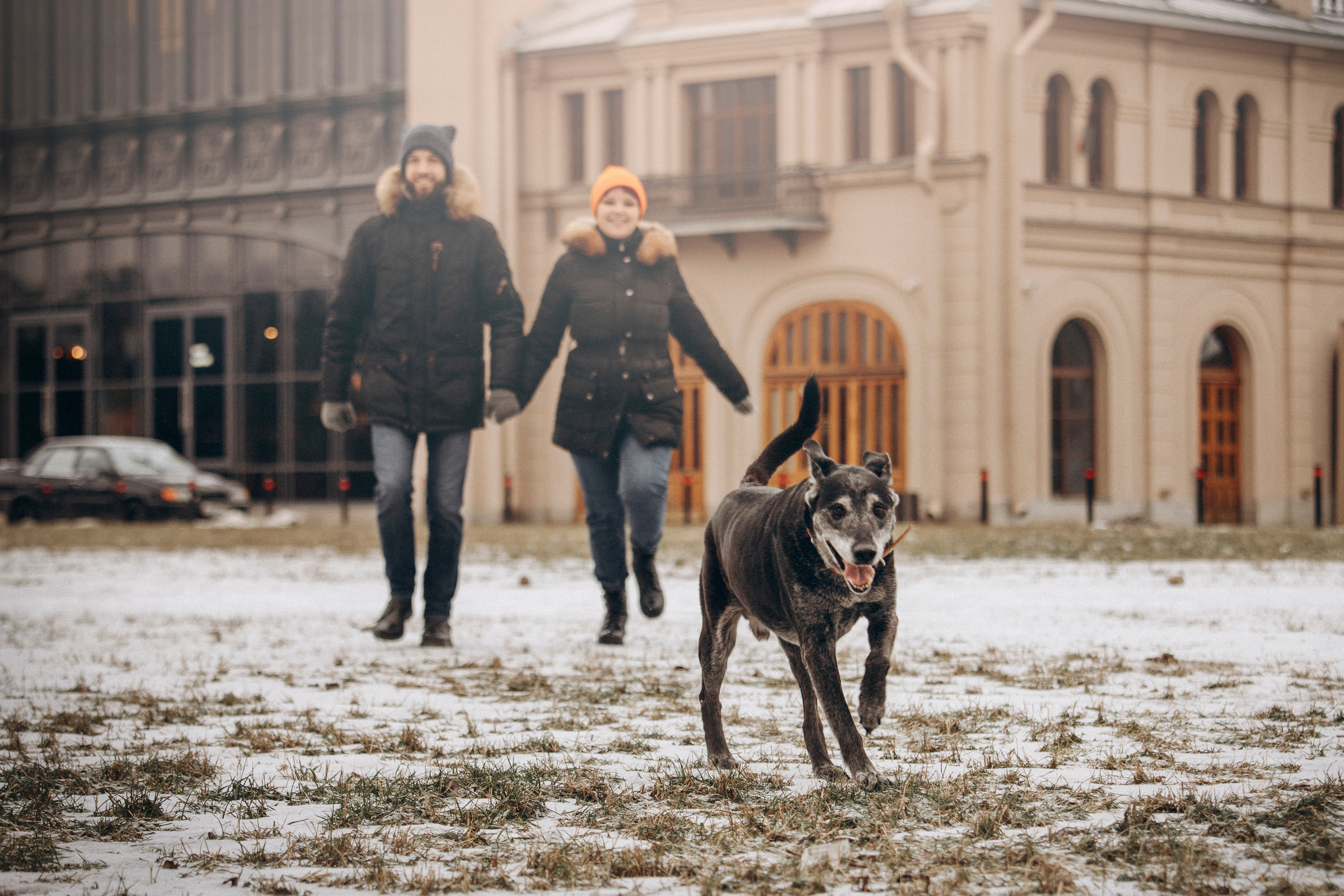 Ангус и его семья. Фотограф — Анималист | Санкт-Петербург