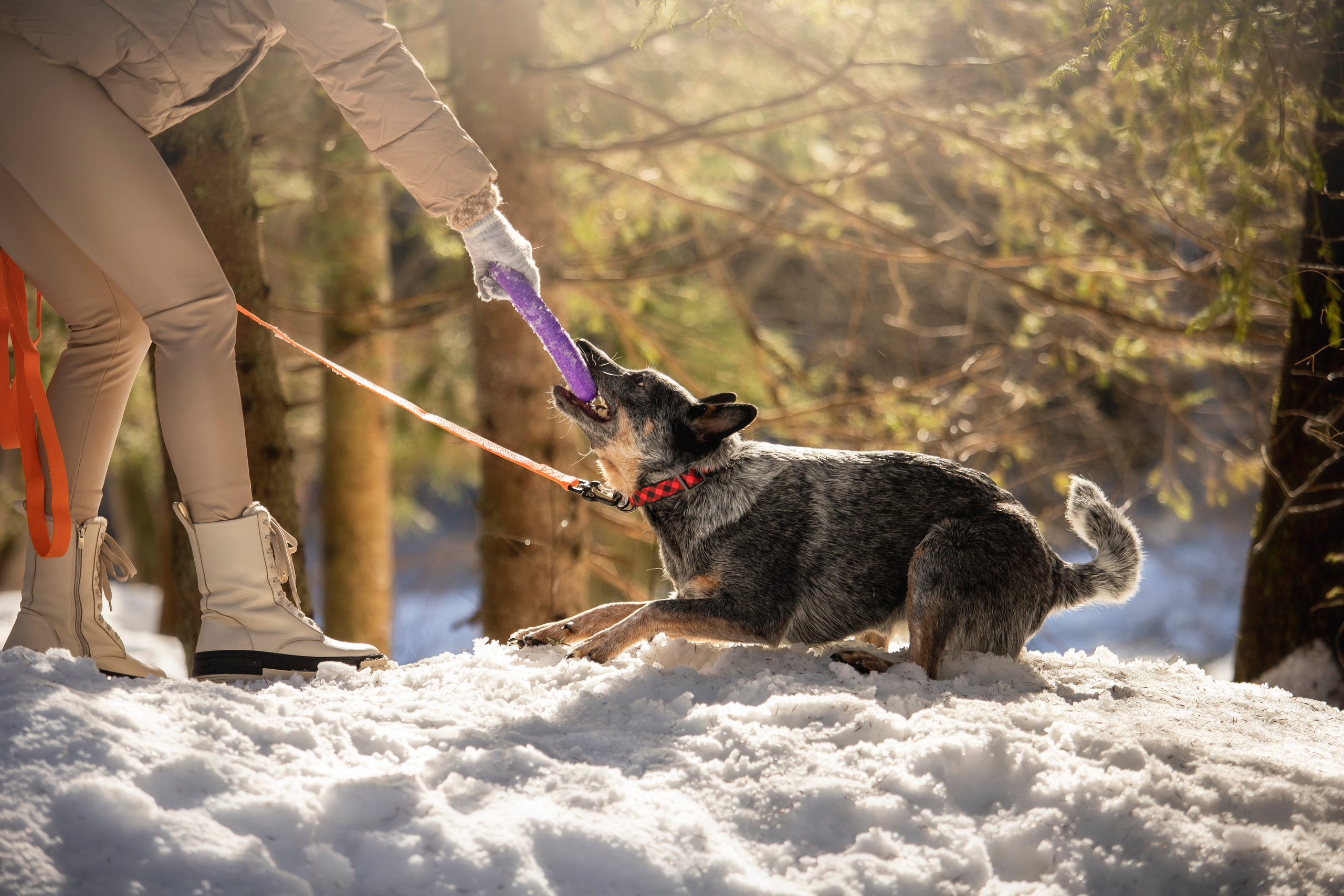 Оля и Мотя. Фотограф — Анималист | Санкт-Петербург