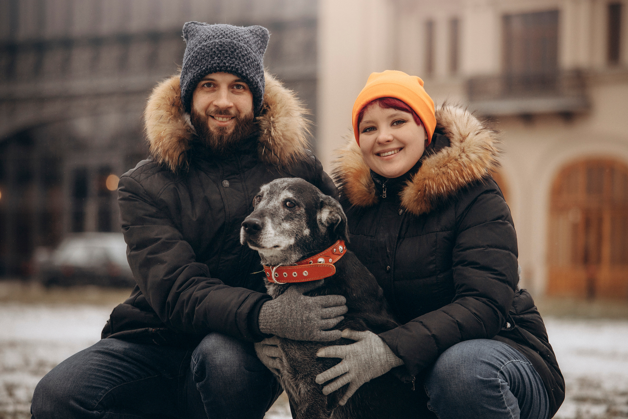 Ангус и его семья. Фотограф — Анималист | Санкт-Петербург