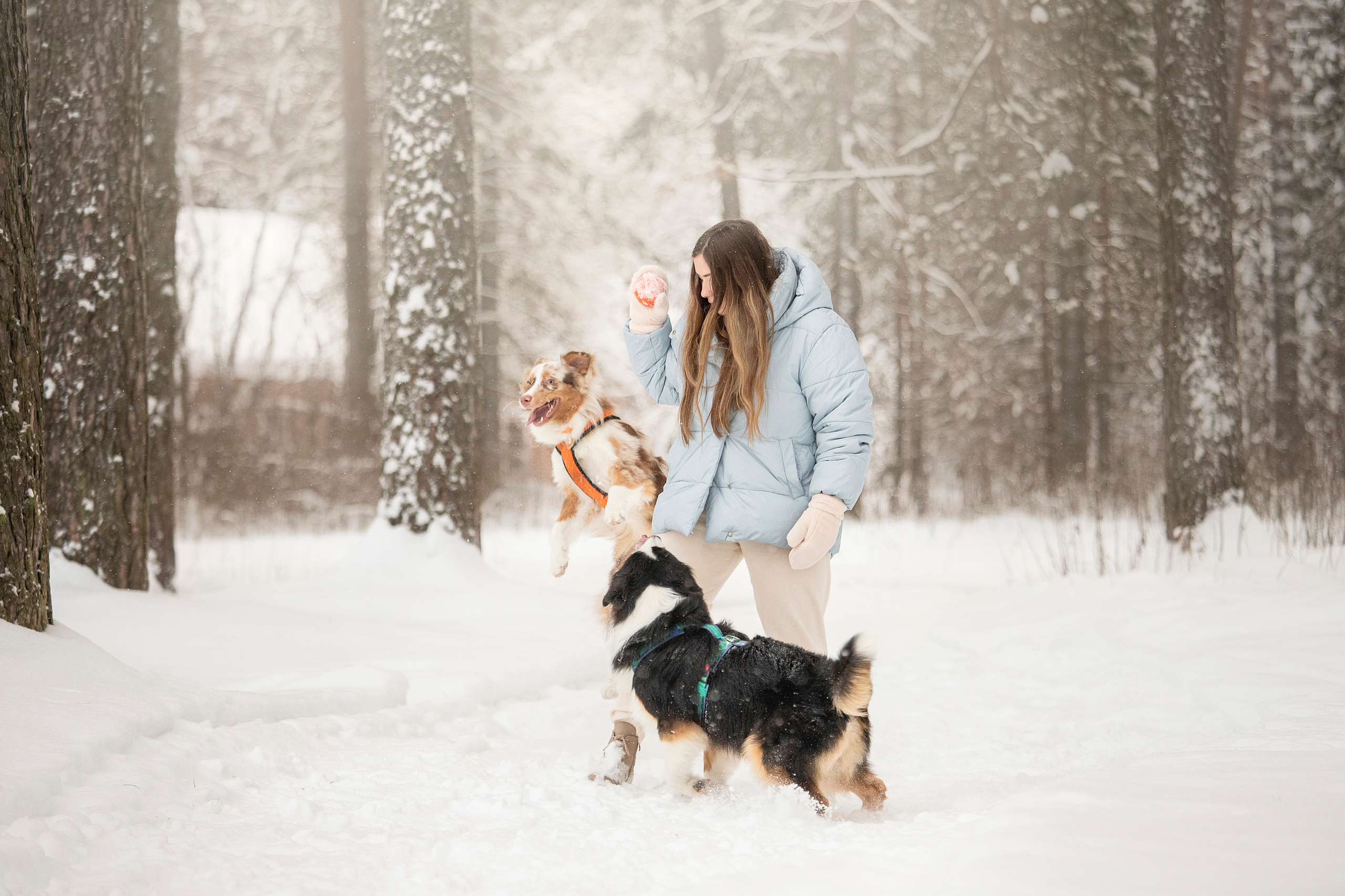 Делик, Скай и их семья. Фотограф — Анималист | Санкт-Петербург