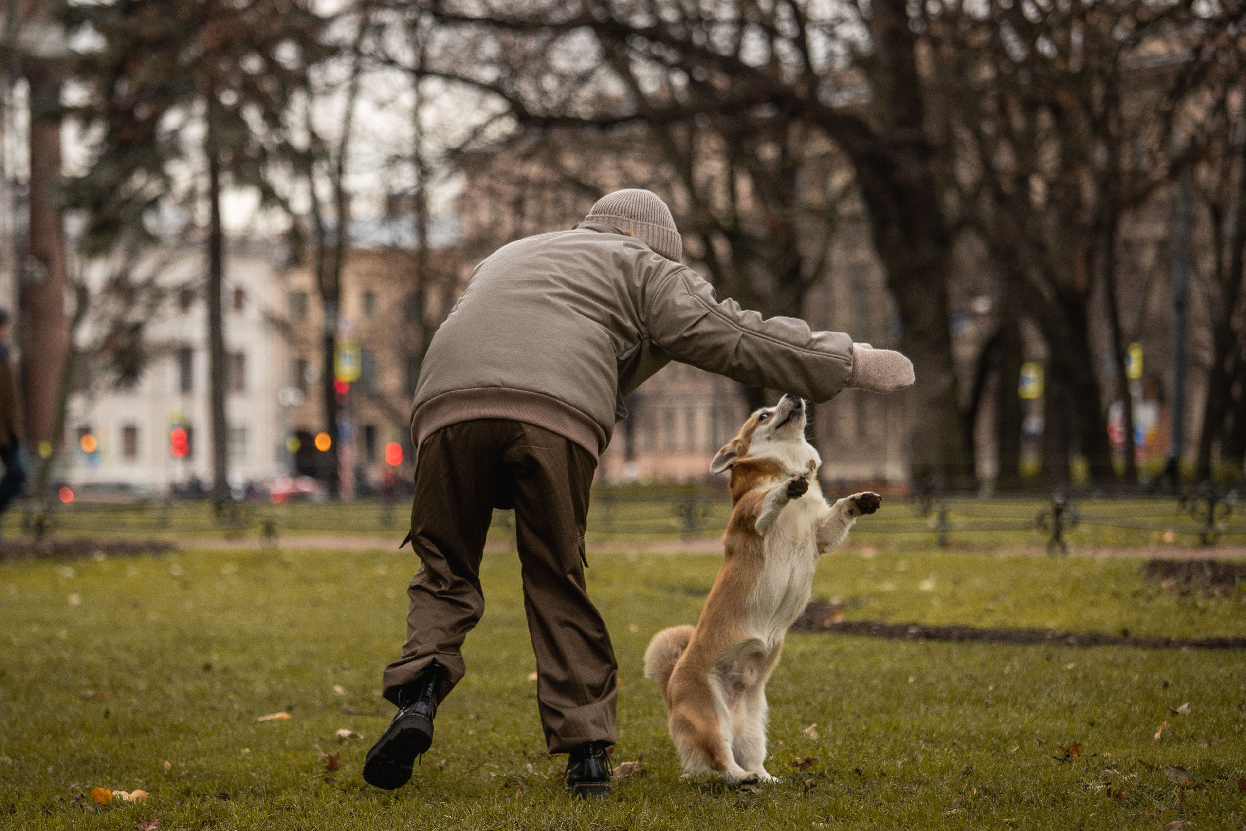 Барни и его семья. Фотограф — Анималист | Санкт-Петербург