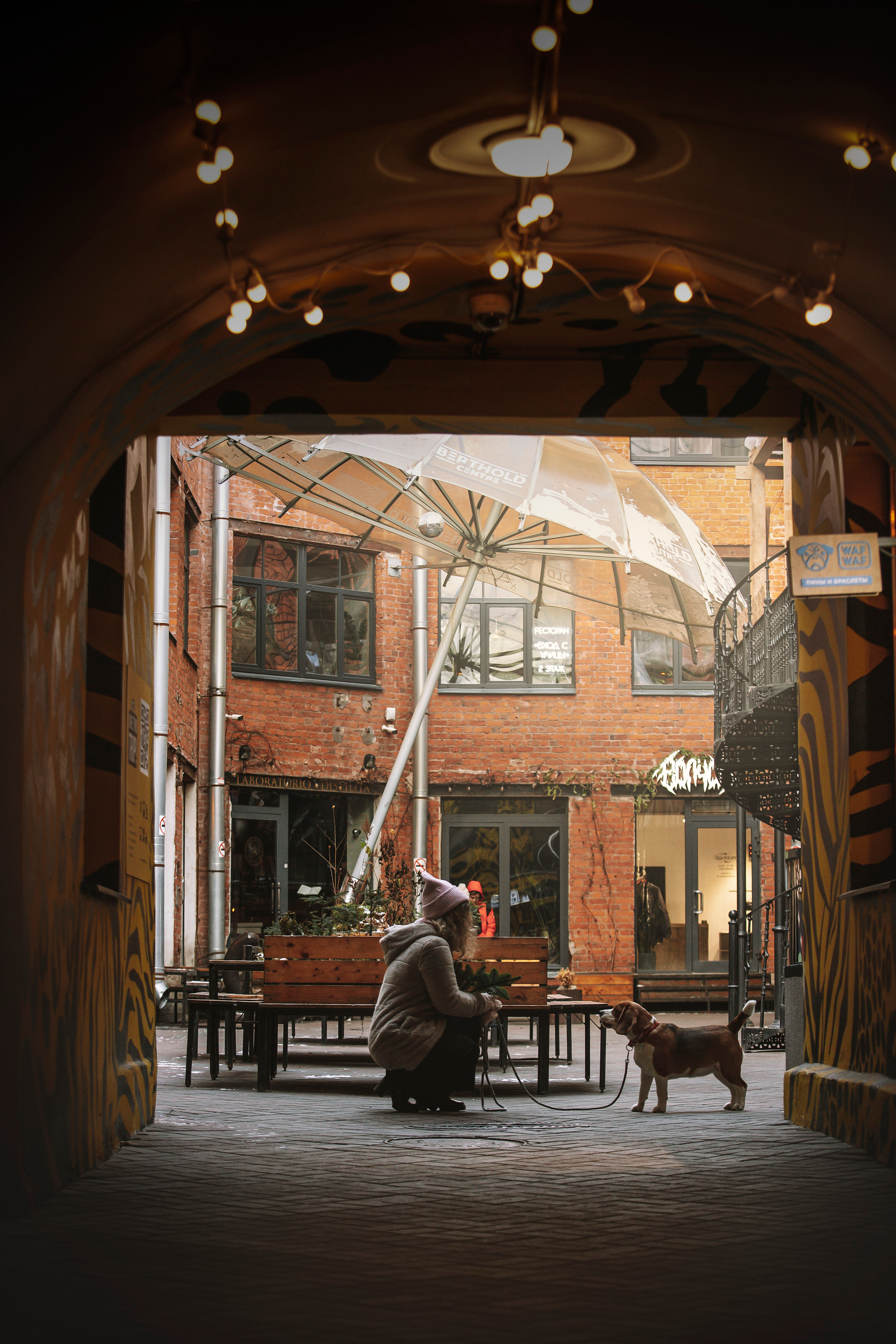 Полина и Бетти. Фотограф — Анималист | Санкт-Петербург